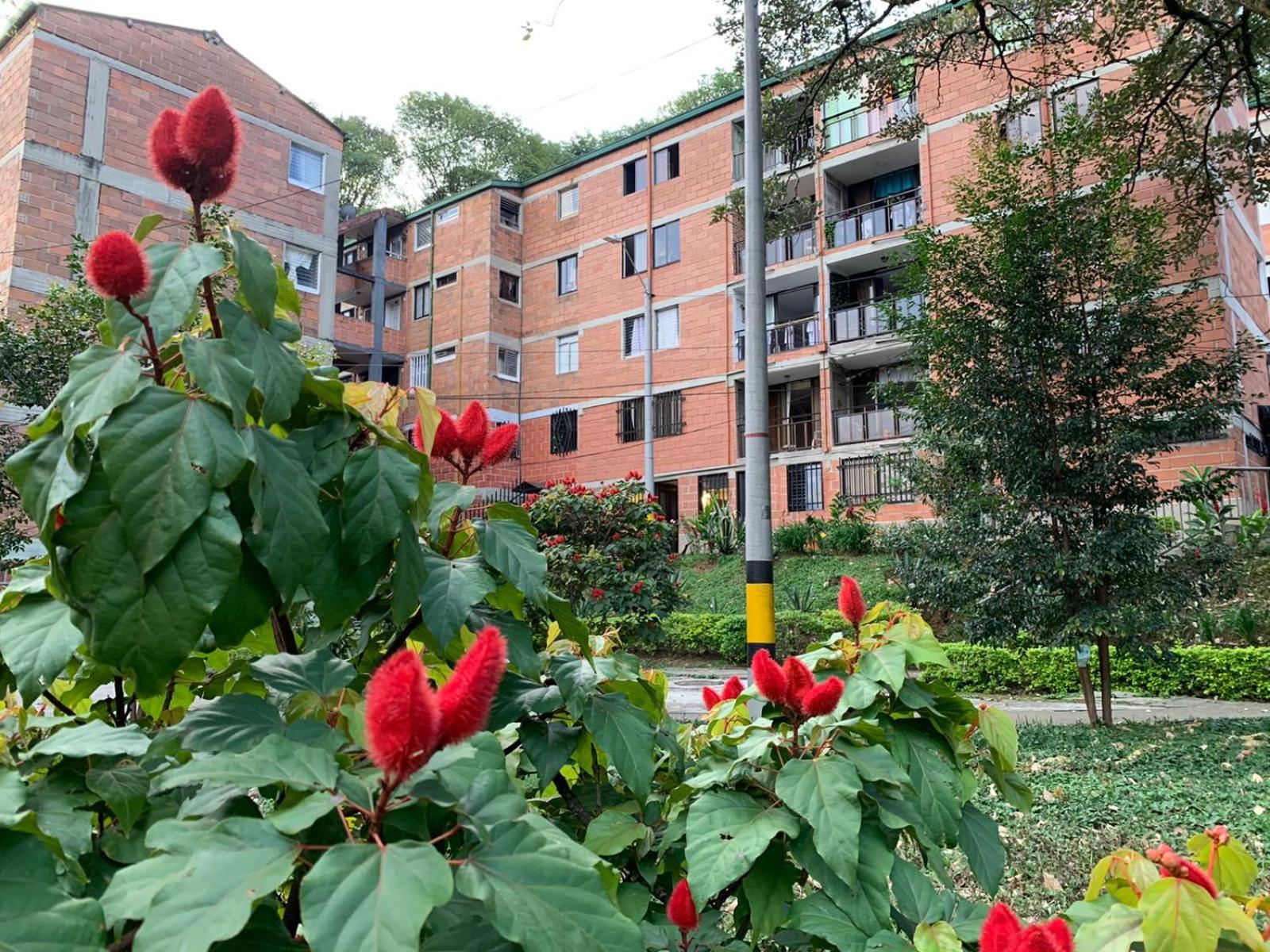 Acogedor Apartamento Urbanización Tricentenario