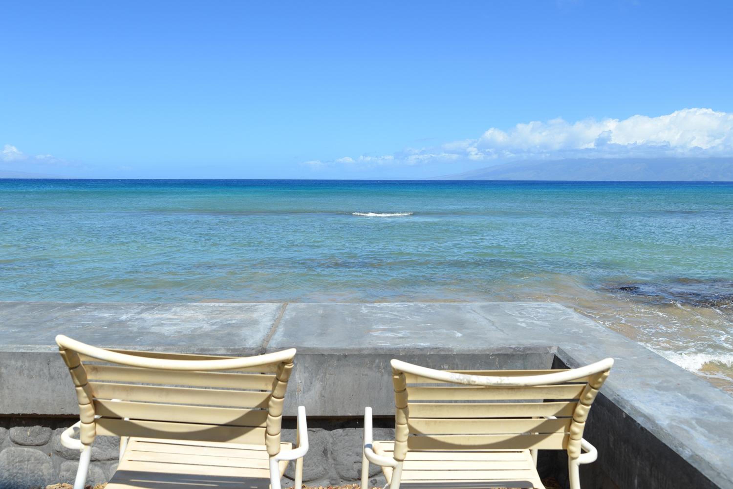 Kulakane 211 · KK 211 Updated OceanFront Whale Watching