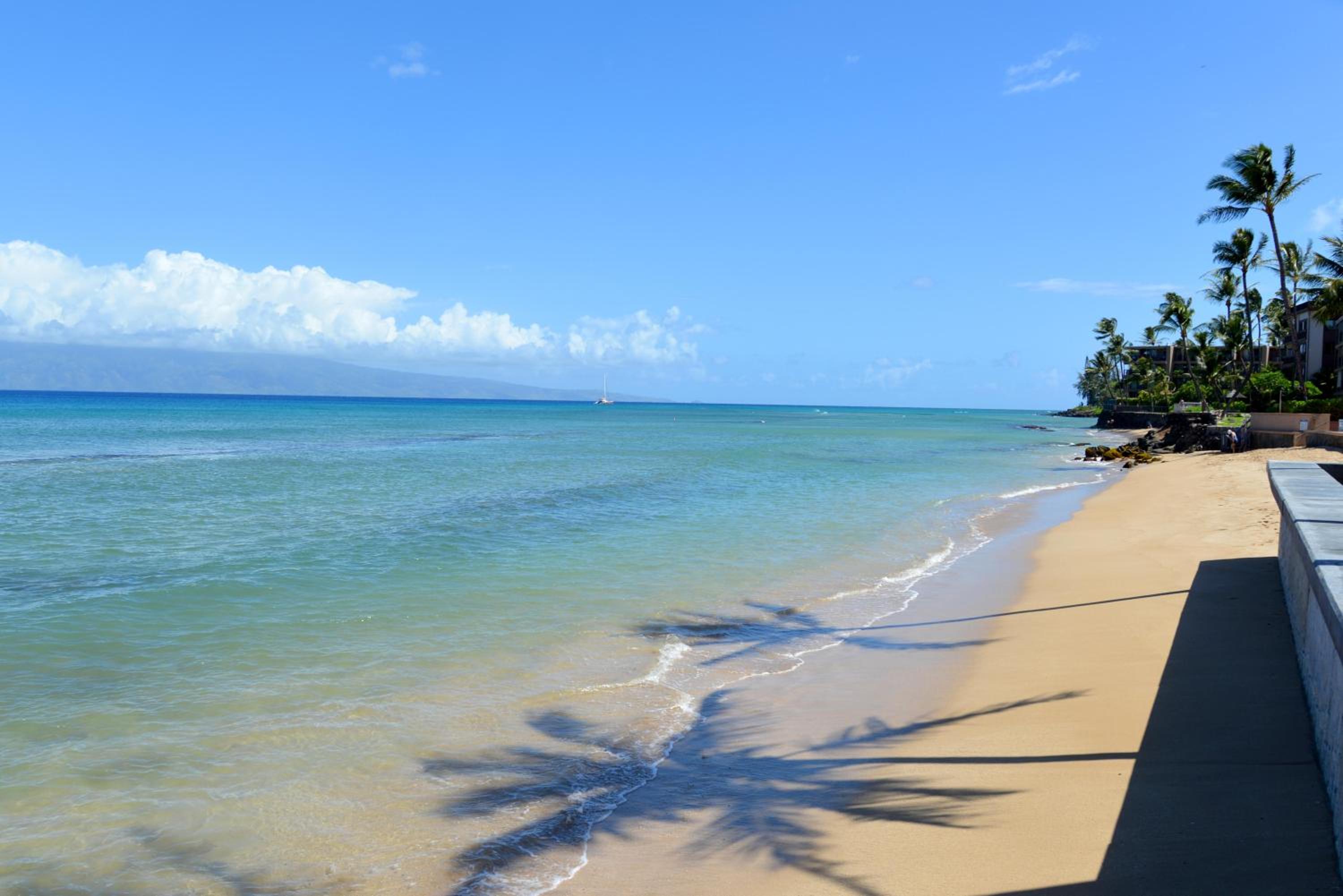 Kulakane 105 · KK105 Sunsets Ocean Views Oceanfront in West Maui