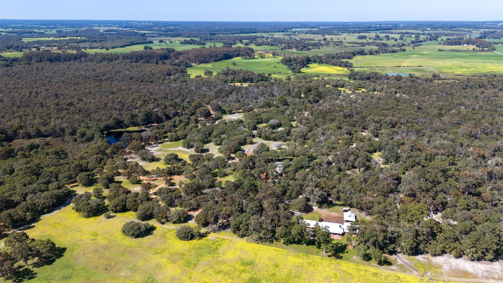 Forest Rise Chalets and Lodge