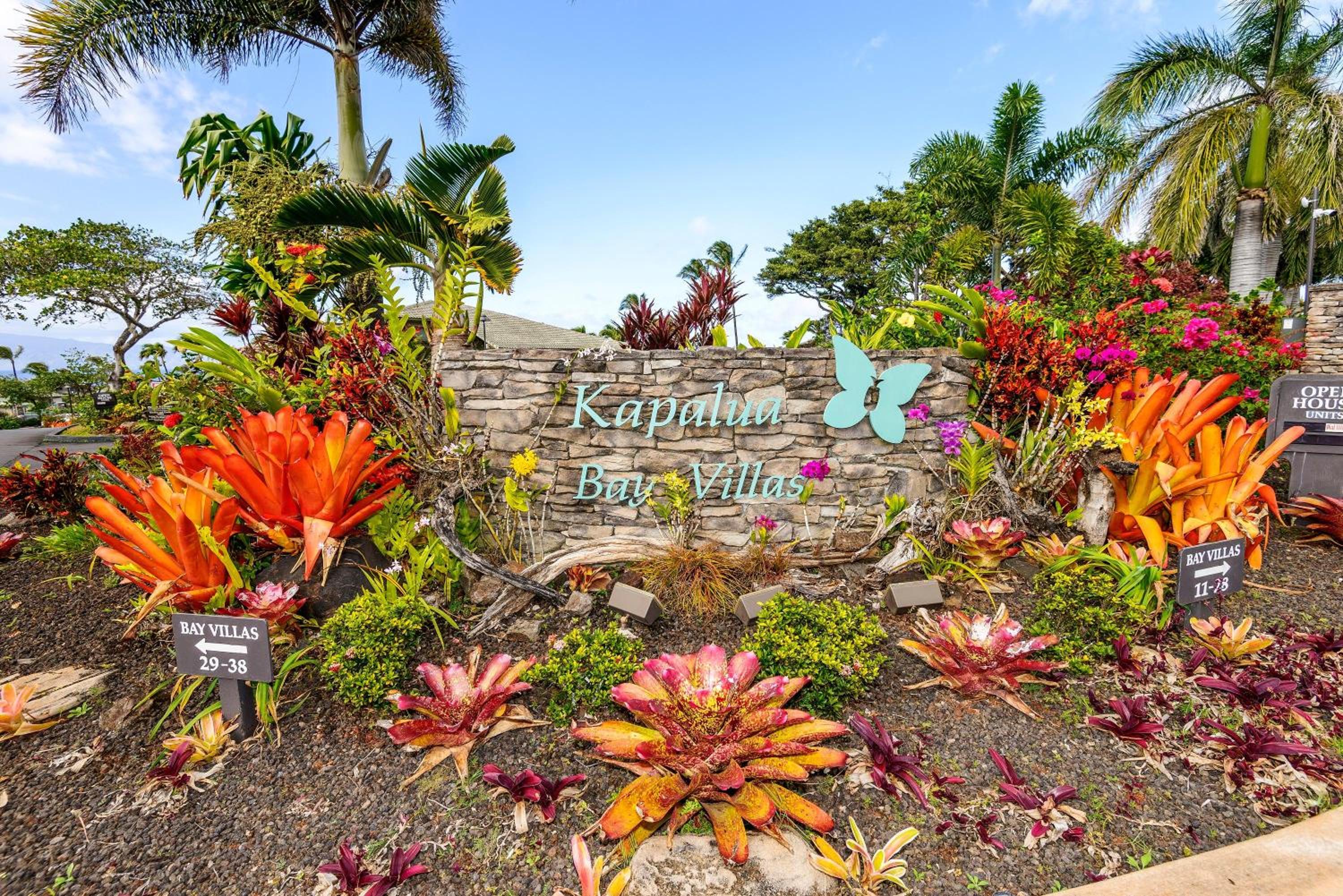 Kapalua Bay Villas 33B1 · KBV 33B1 Remodeled OceanFront w Ocean