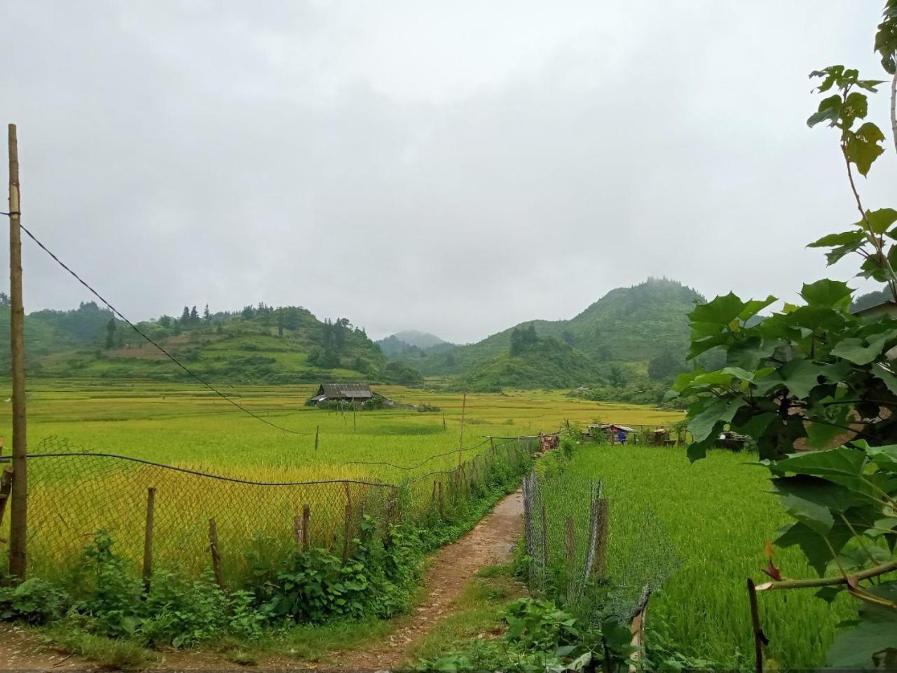 Photo 42