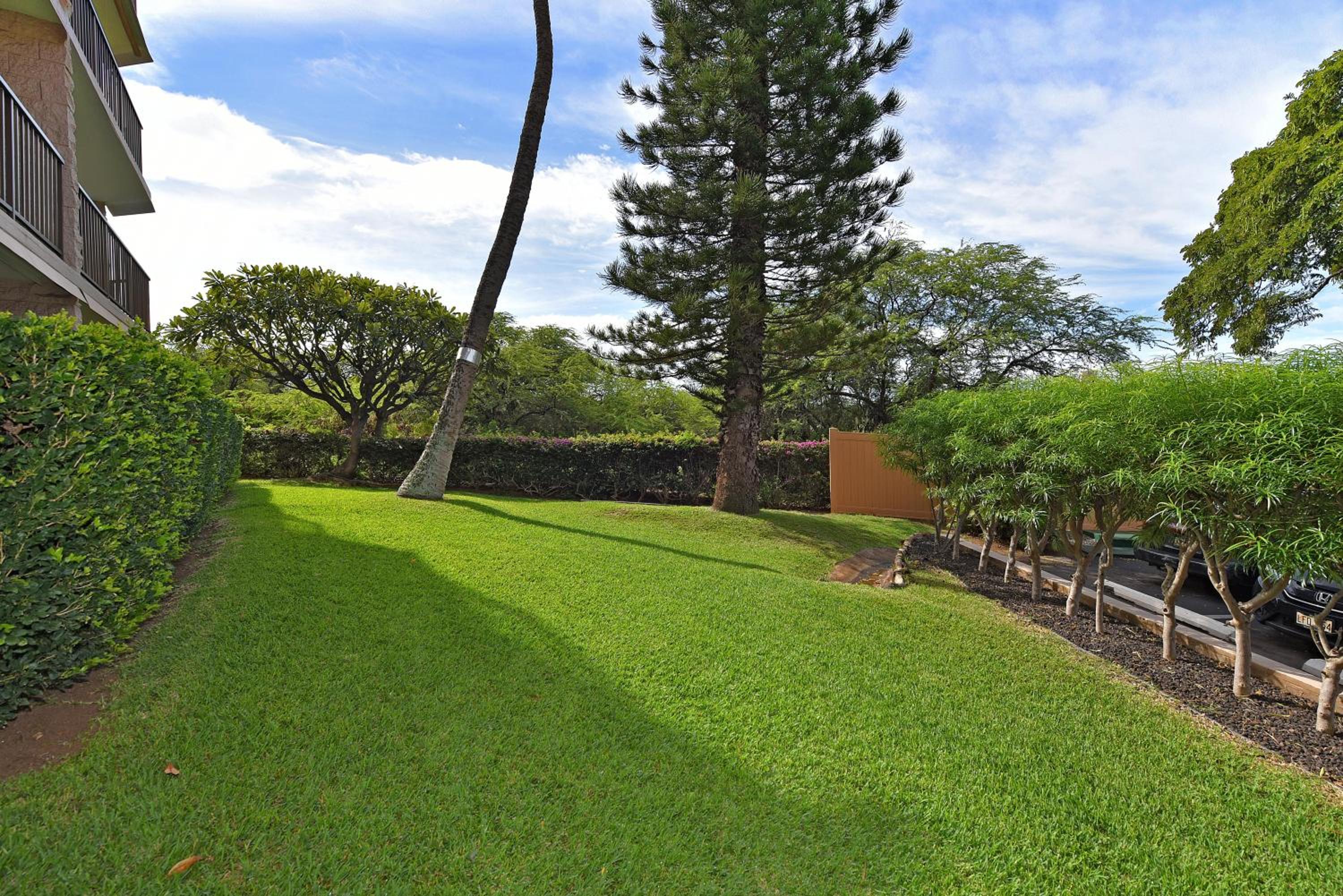Kihei Alii Kai A207 · KAK A207 Renovated Kihei Condo Near Beach
