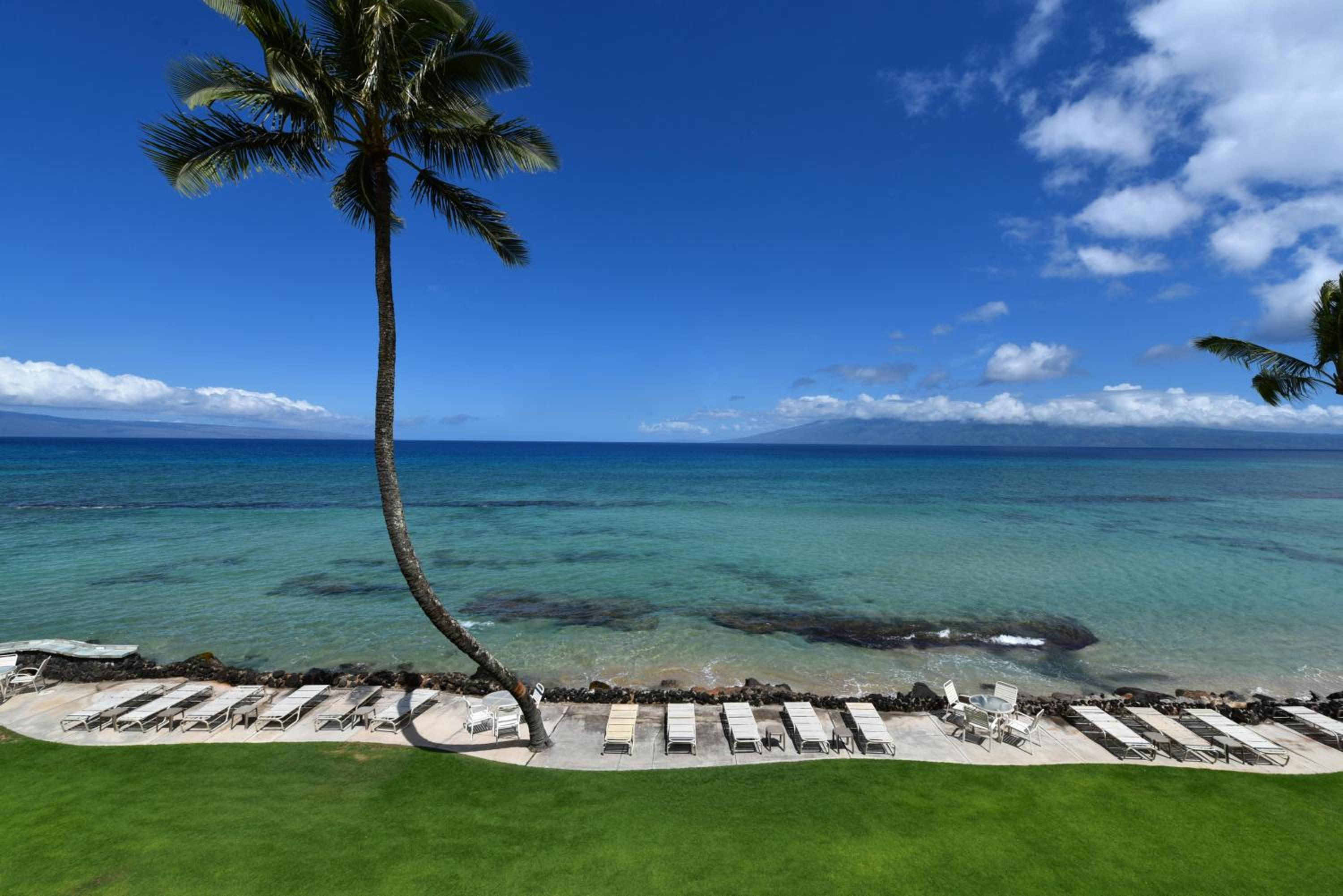 Kaleialoha 409 · KA 409 OceanFront 1BD Condo w Ocean Views Pool - Image 2