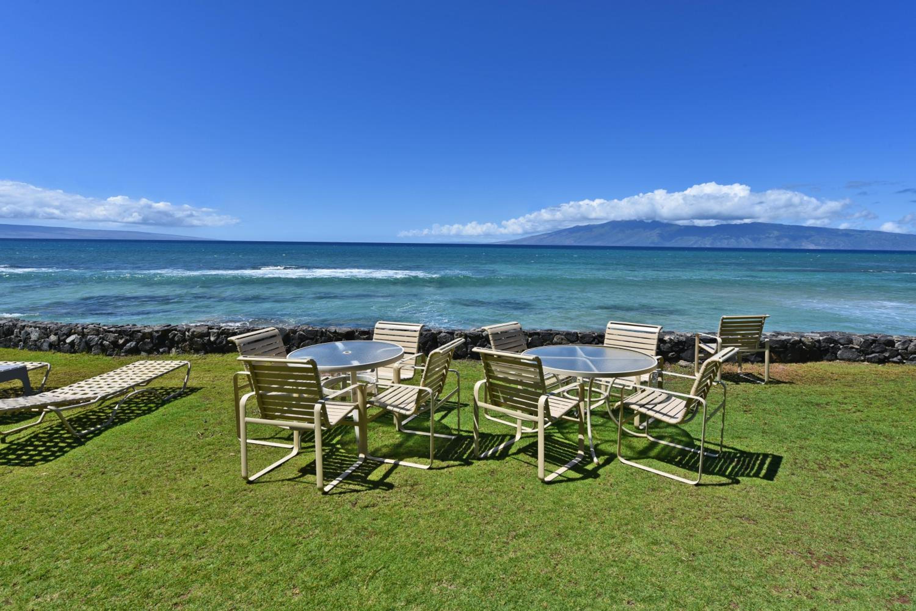 Kaleialoha 210 · KA 210 OceanFront 1BD Tropical Getaway w AC view 5
