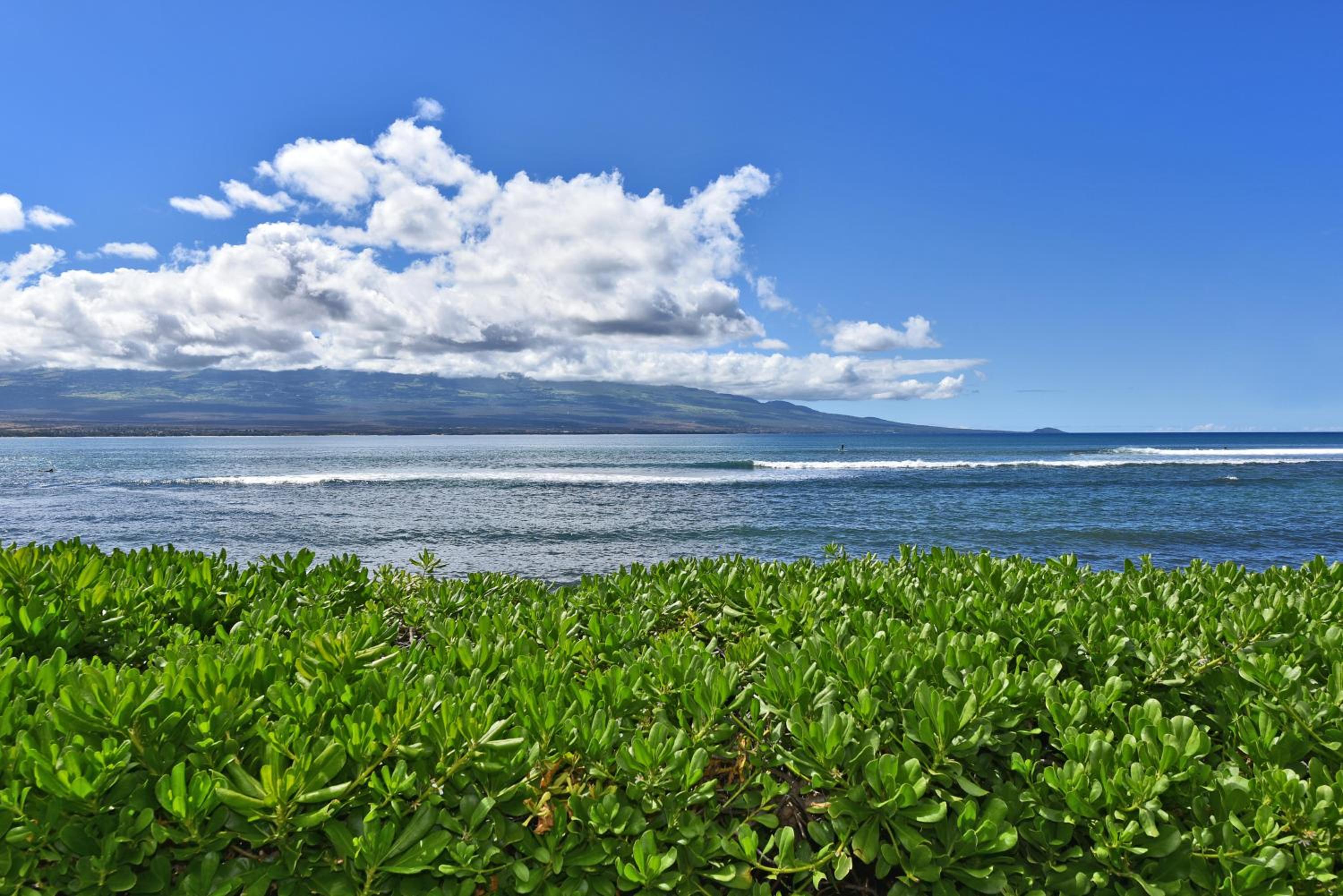 Island Sands 210 · IS 210 OceanFront Condo Expansive Ocean Views