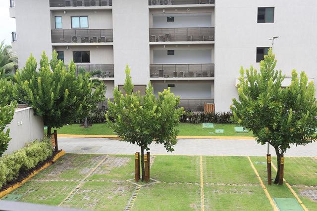 Eco Life Verano Muro Alto
