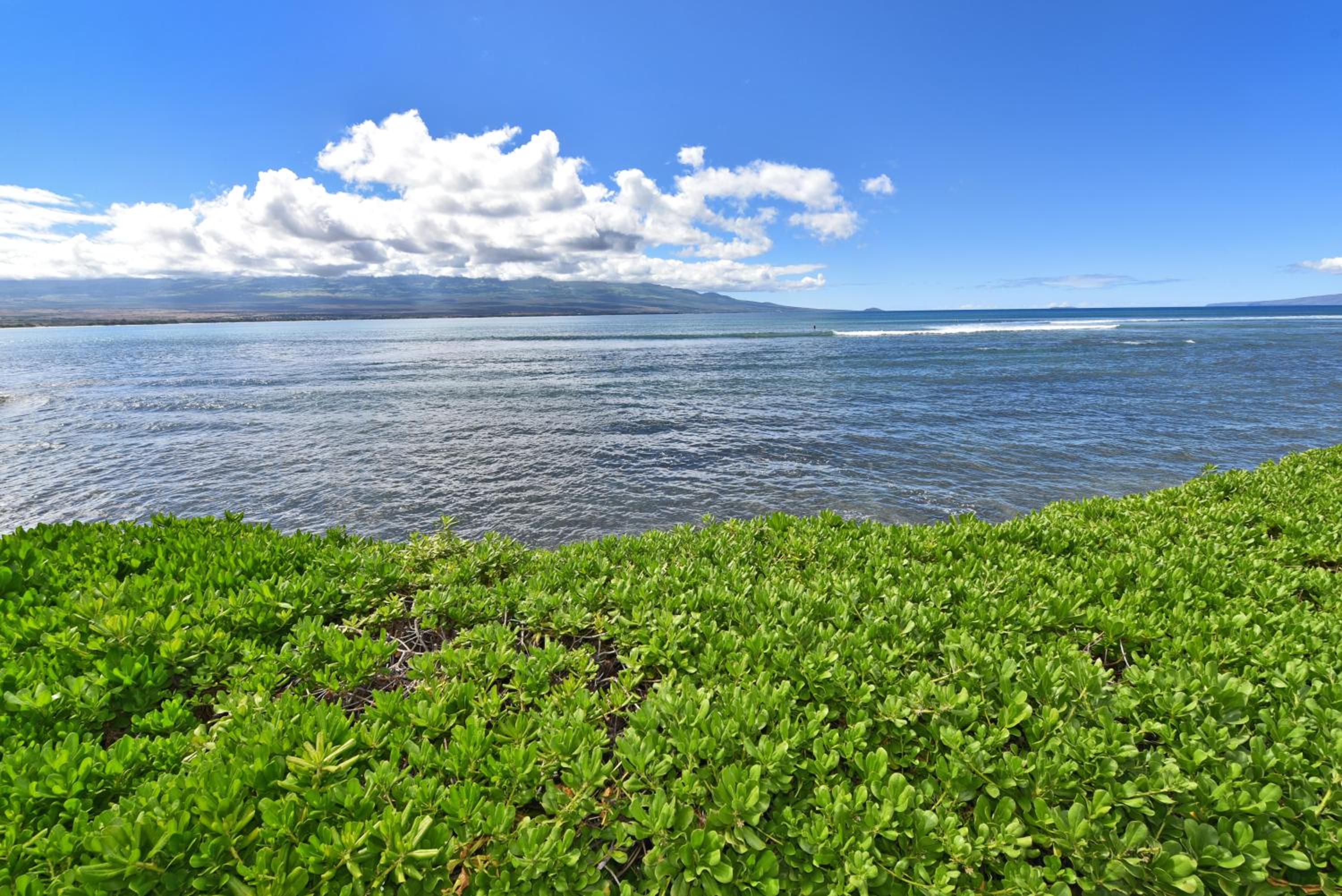 Island Sands 210 · IS 210 OceanFront Condo Expansive Ocean Views