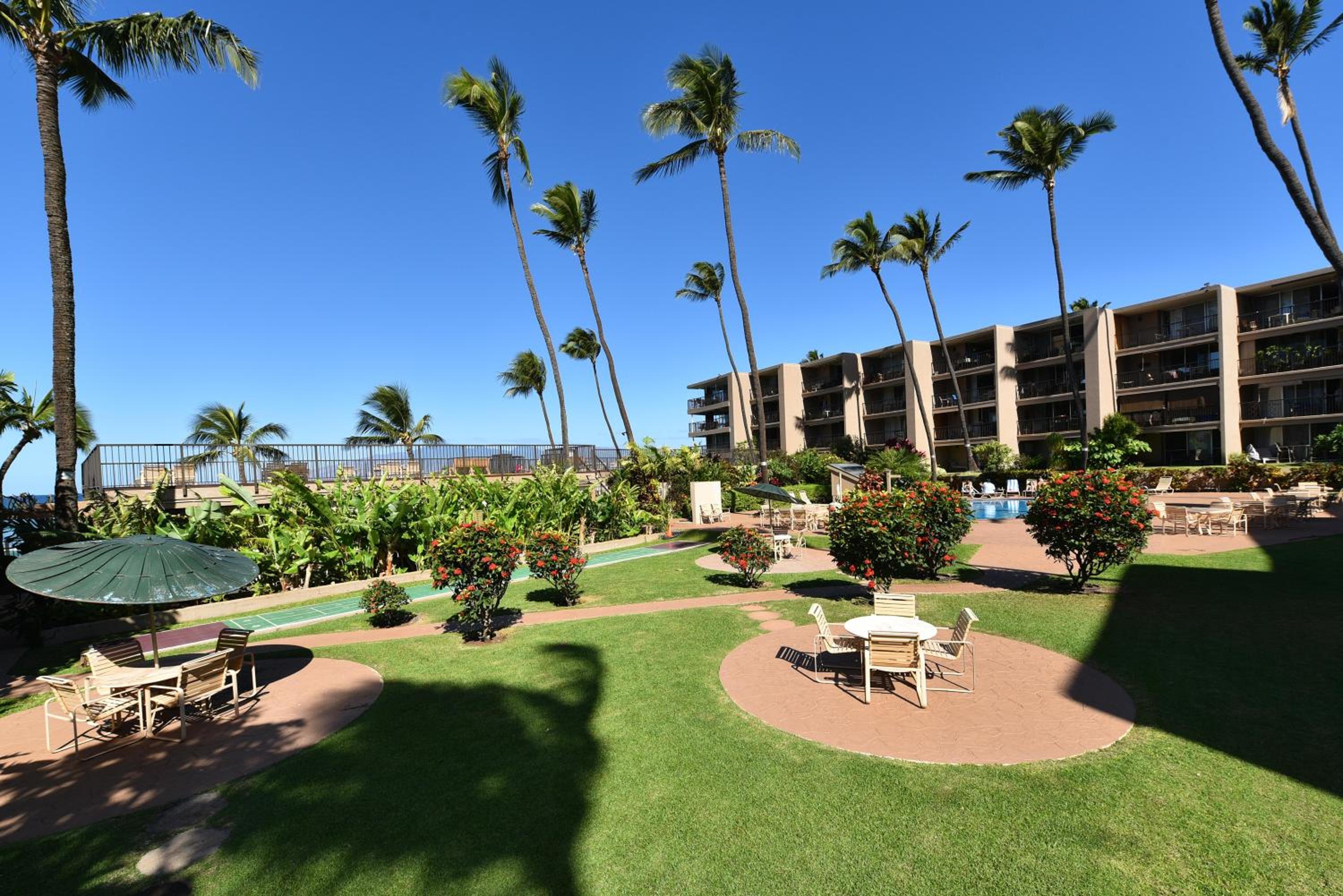 Hale Ono Loa 120 · HOL 120 Oceanfront 2BD w Ocean View AC Pool