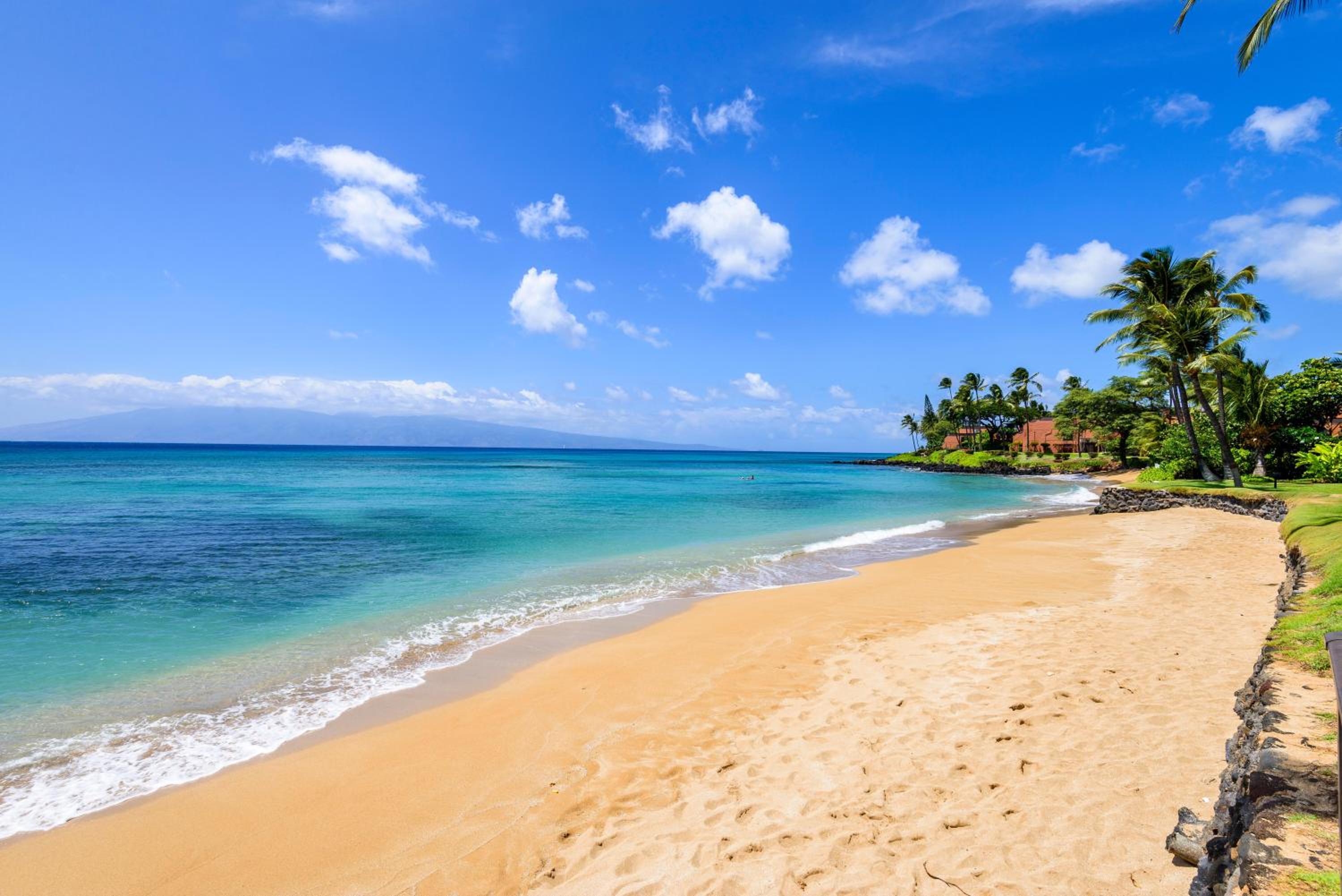 Hale Mahina A207 · HM A207 Spacious OceanFront 1BD w Ocean View