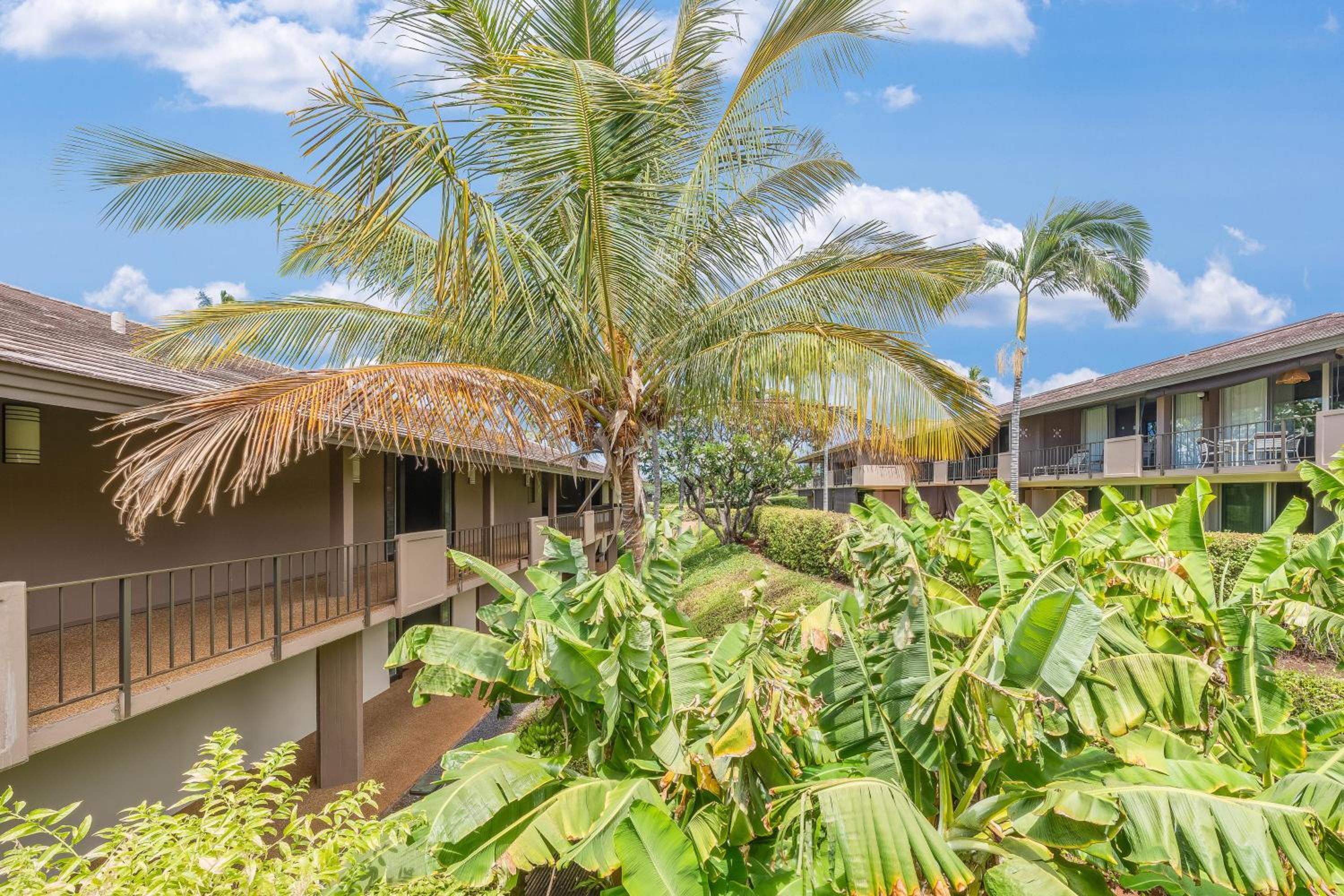 Eldorado J222 · EL J222 Remodeled Studio wAC Pool