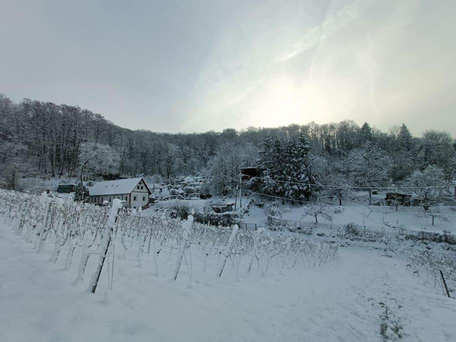 Direkt am Wald mit Panoramablick bis zur Pfalz