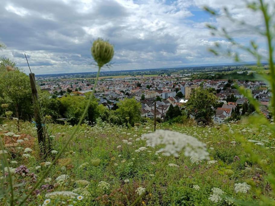 Direkt am Wald mit Panoramablick bis zur Pfalz