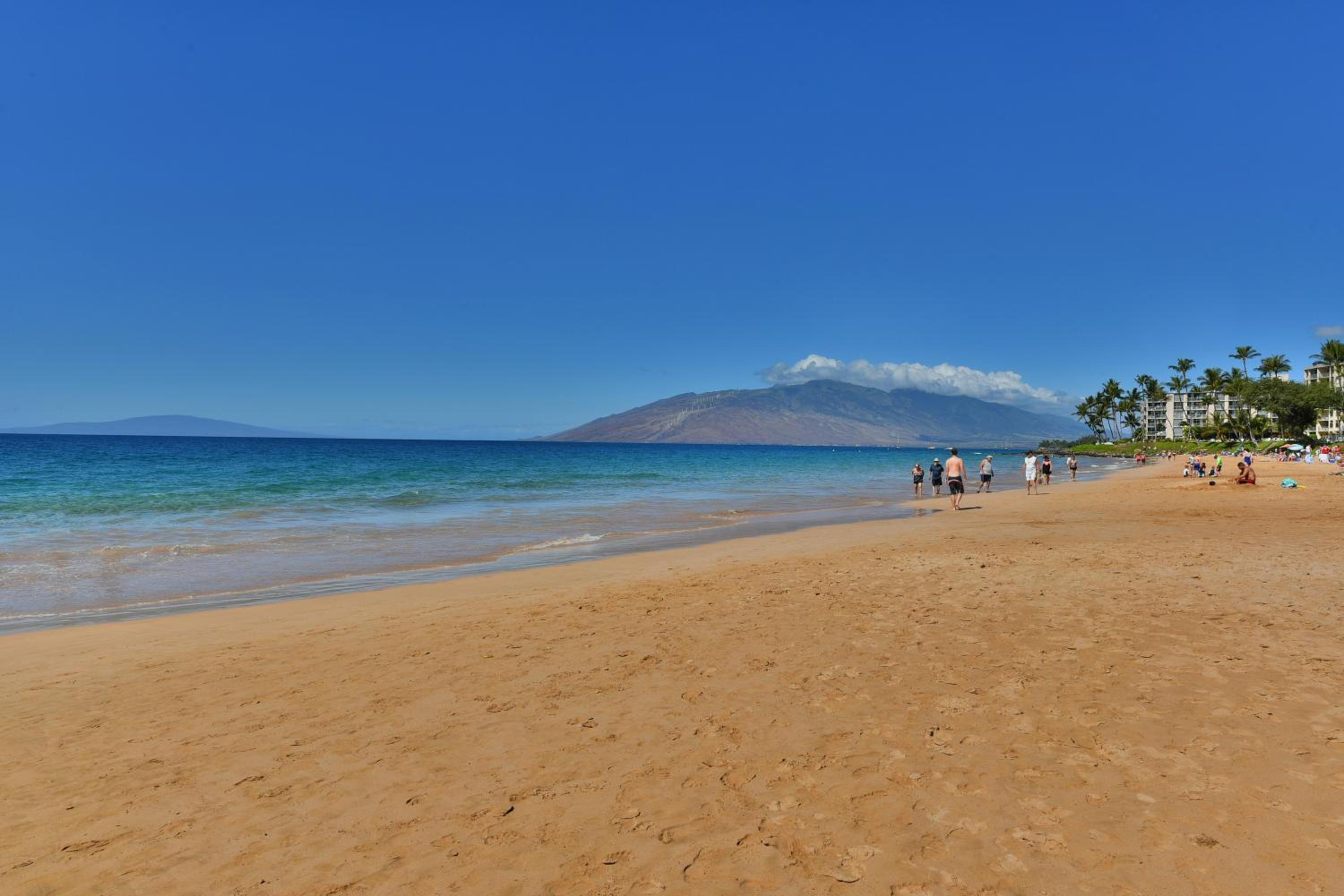 Kihei Akahi C616 · AKH C616 Cozy Condo Near Beach w Ocean View P
