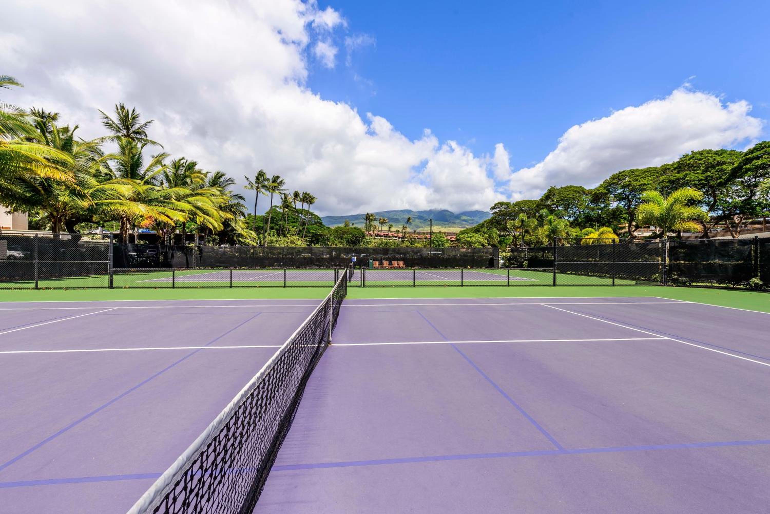 Whaler 859 BeachFront Luxury Condo w Ocean Views