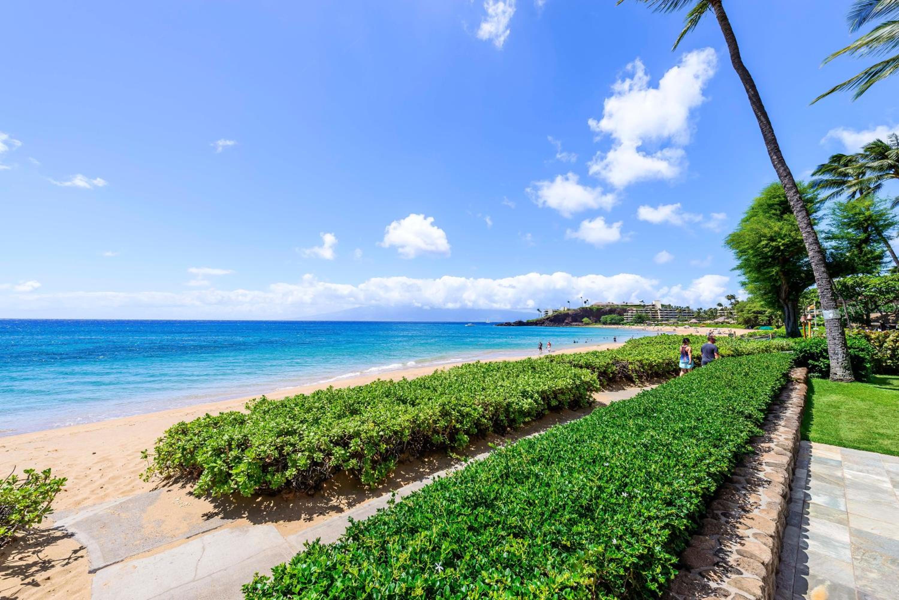 Whaler 859 BeachFront Luxury Condo w Ocean Views