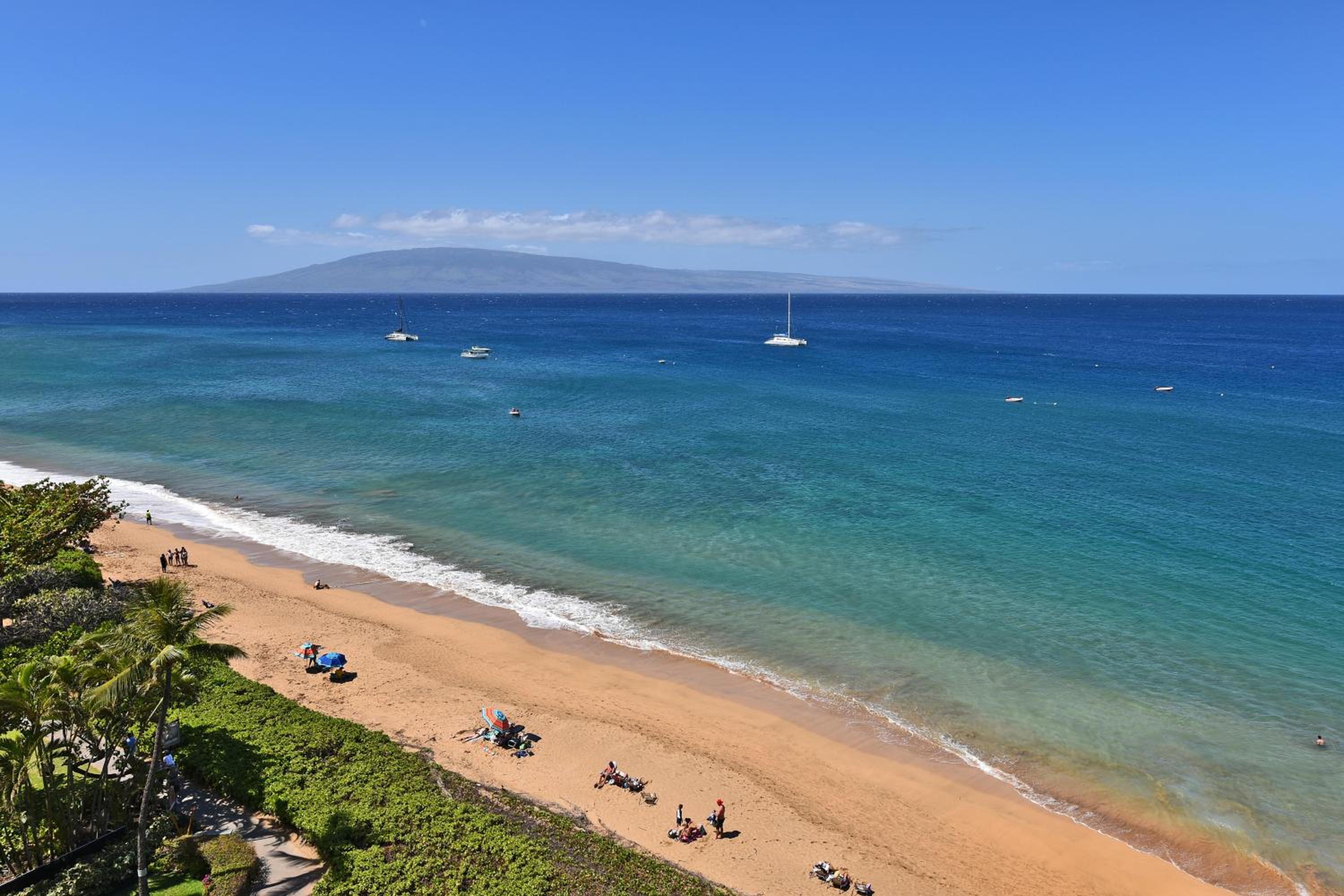 Whaler 859 BeachFront Luxury Condo w Ocean Views