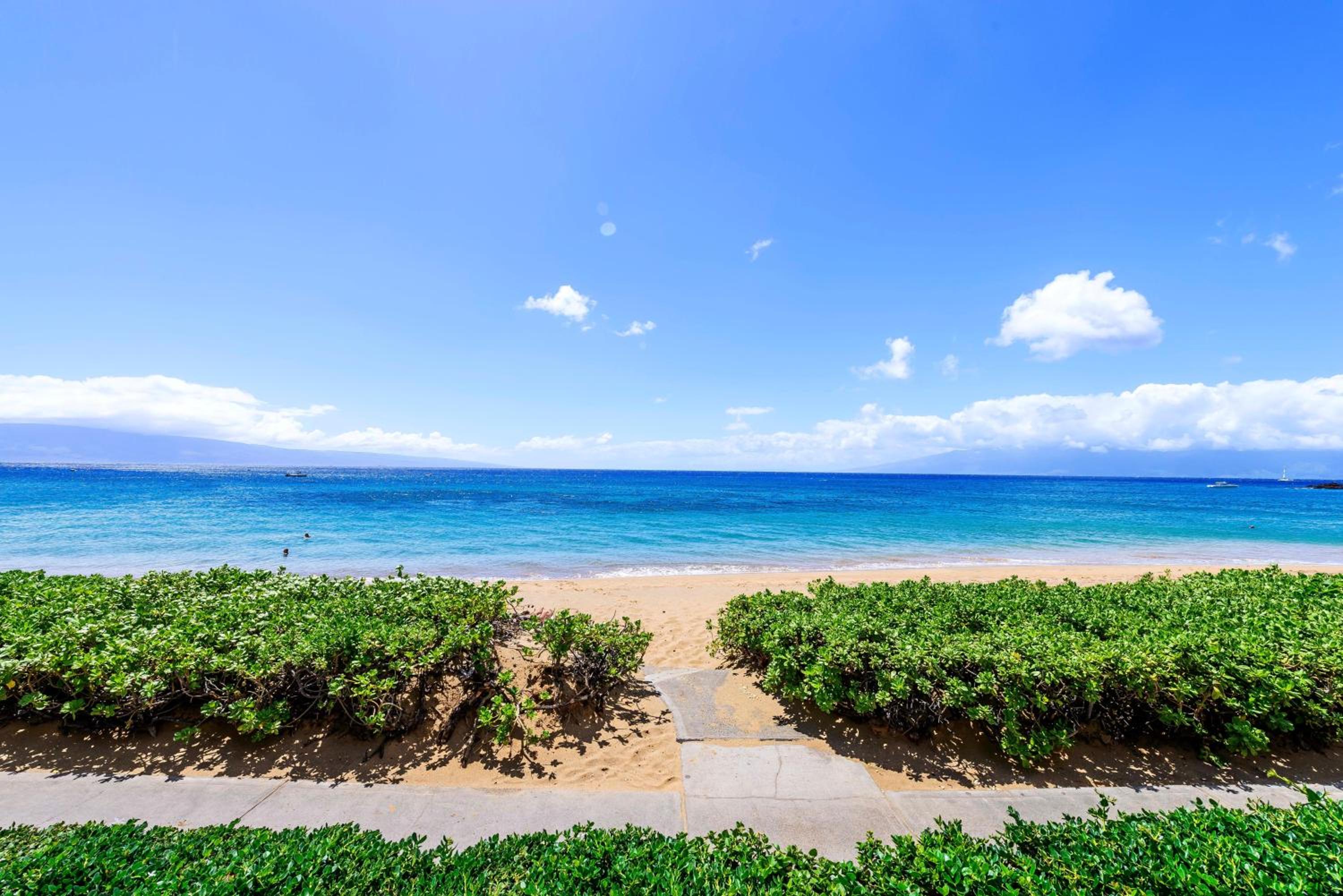 Whaler 859 BeachFront Luxury Condo w Ocean Views