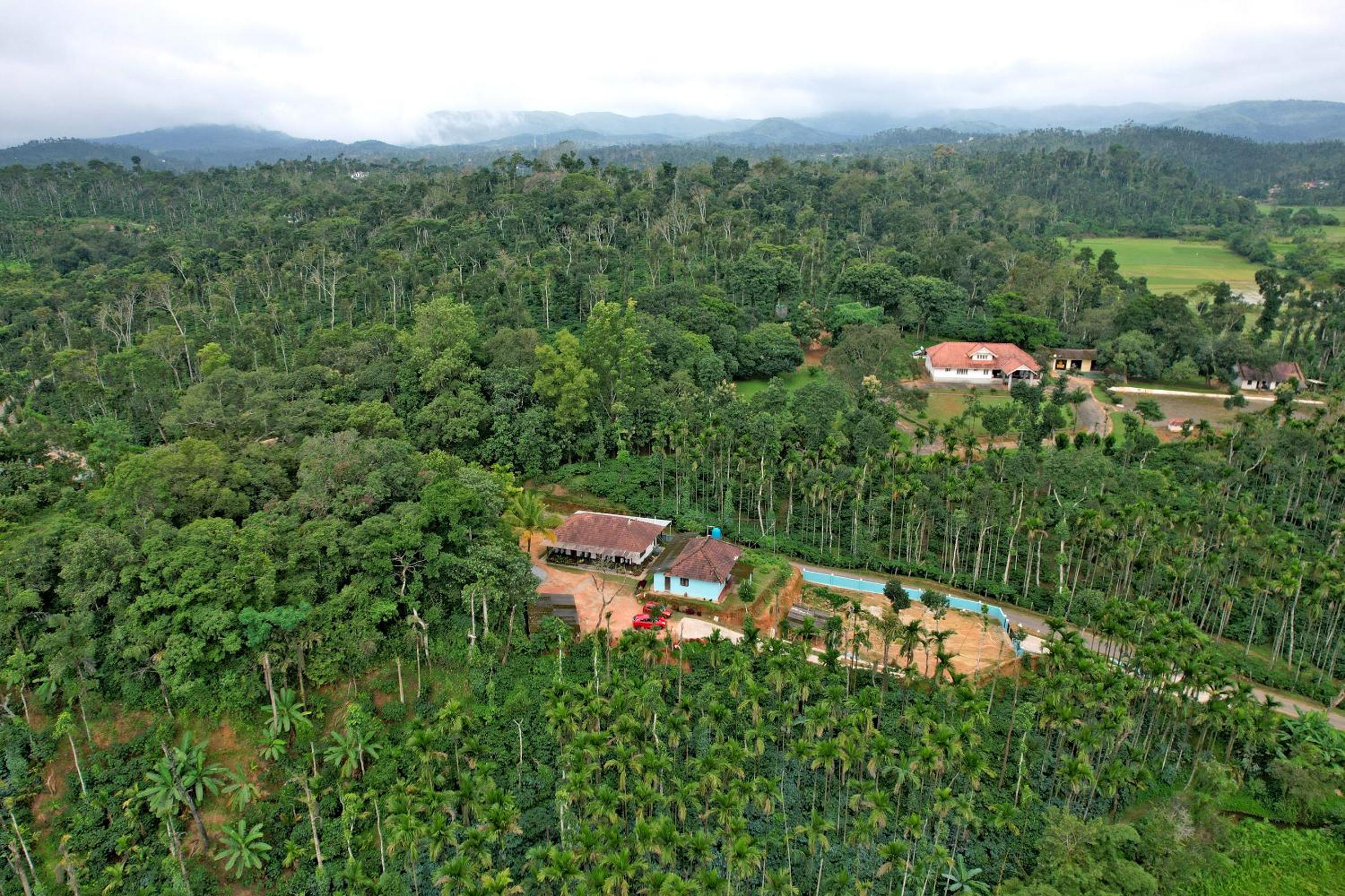 BlueMoon Homestay - Home Food, Estate, Near to Falls and View Points view 3