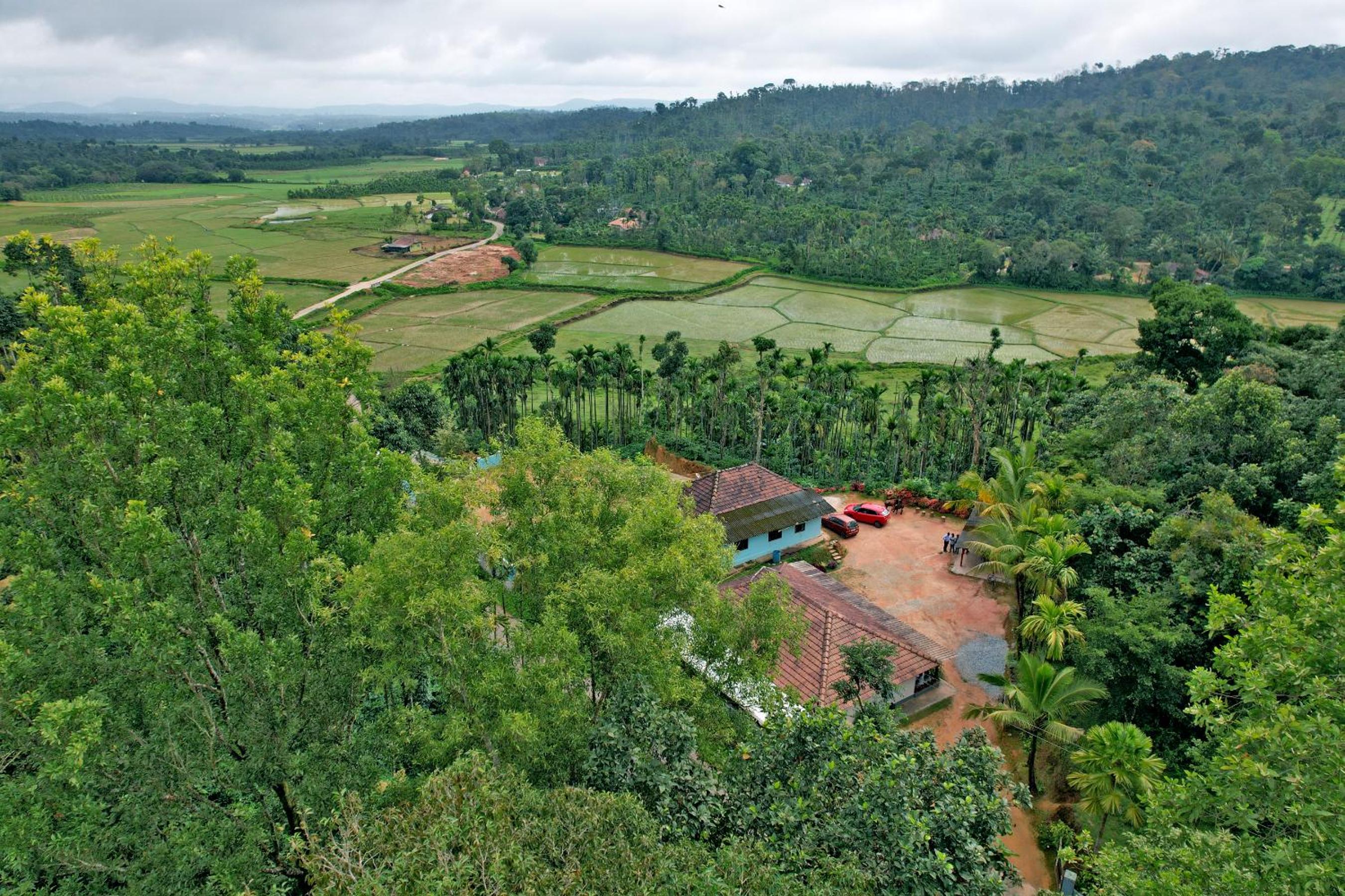 BlueMoon Homestay - Home Food, Estate, Near to Falls and View Points view 2