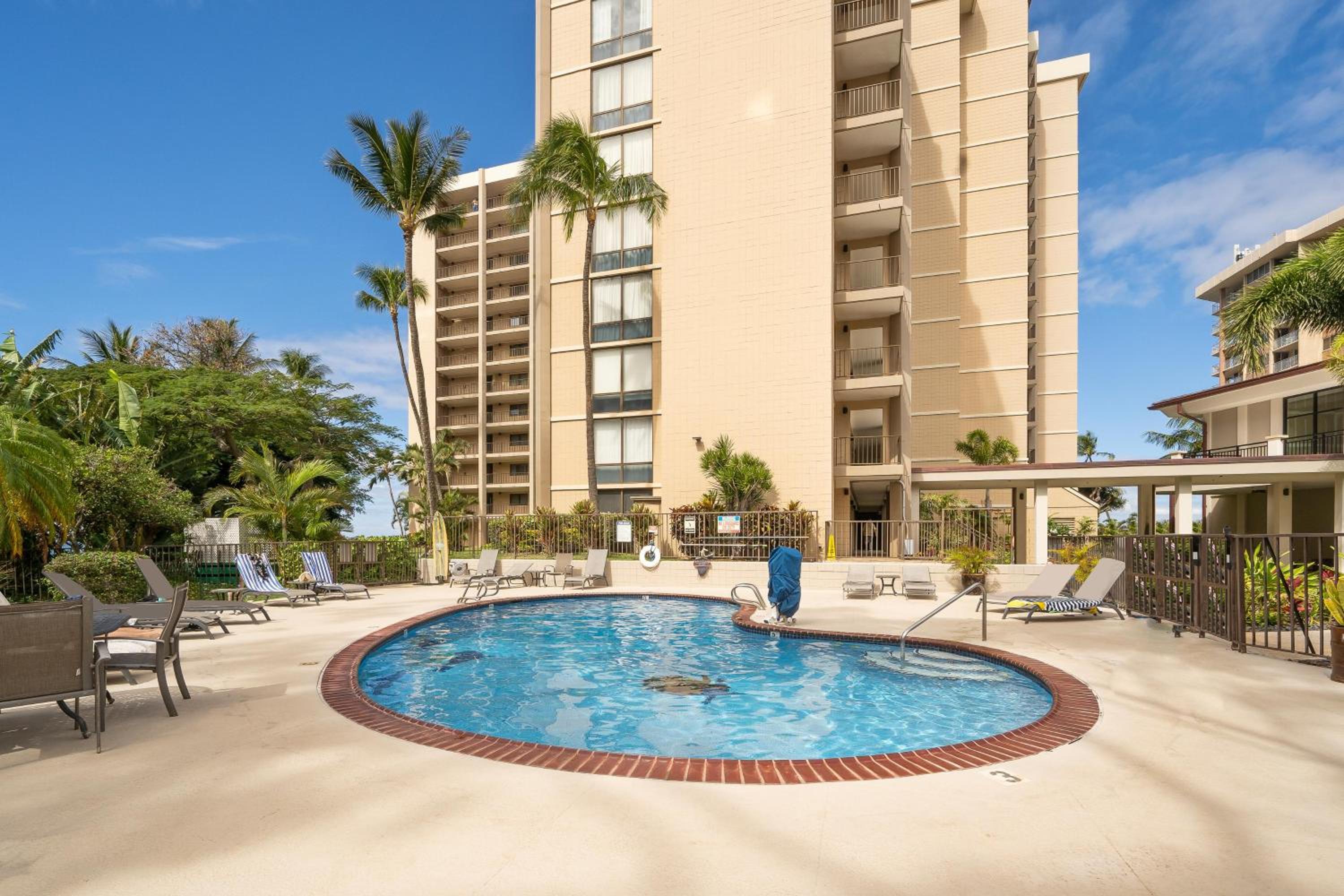 Valley Isle 208 · VI208 Remodeled Maui OceanFront 2BD w Ocean Vi