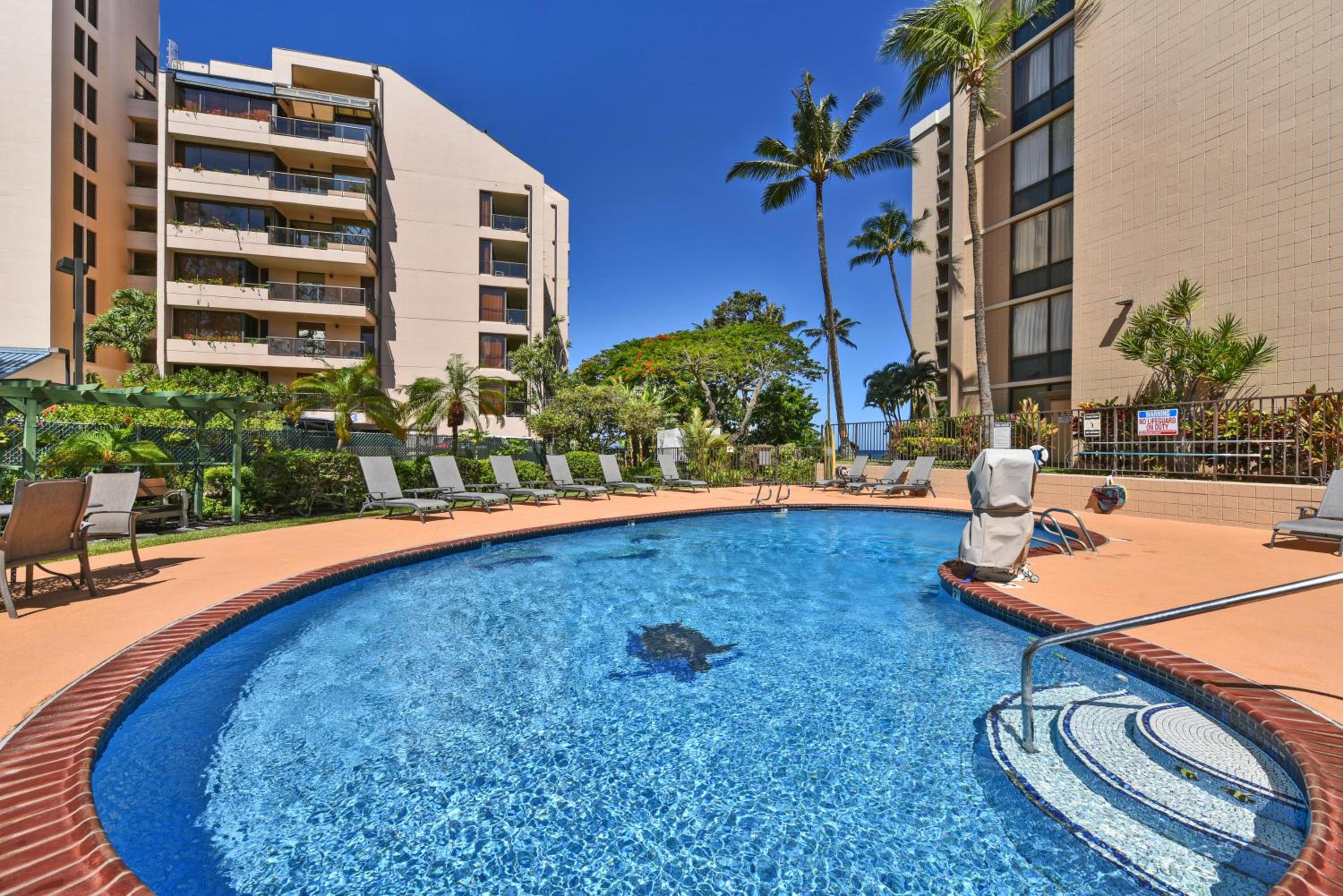 Valley Isle 206 · VI 206 OceanFront Studio w Pool