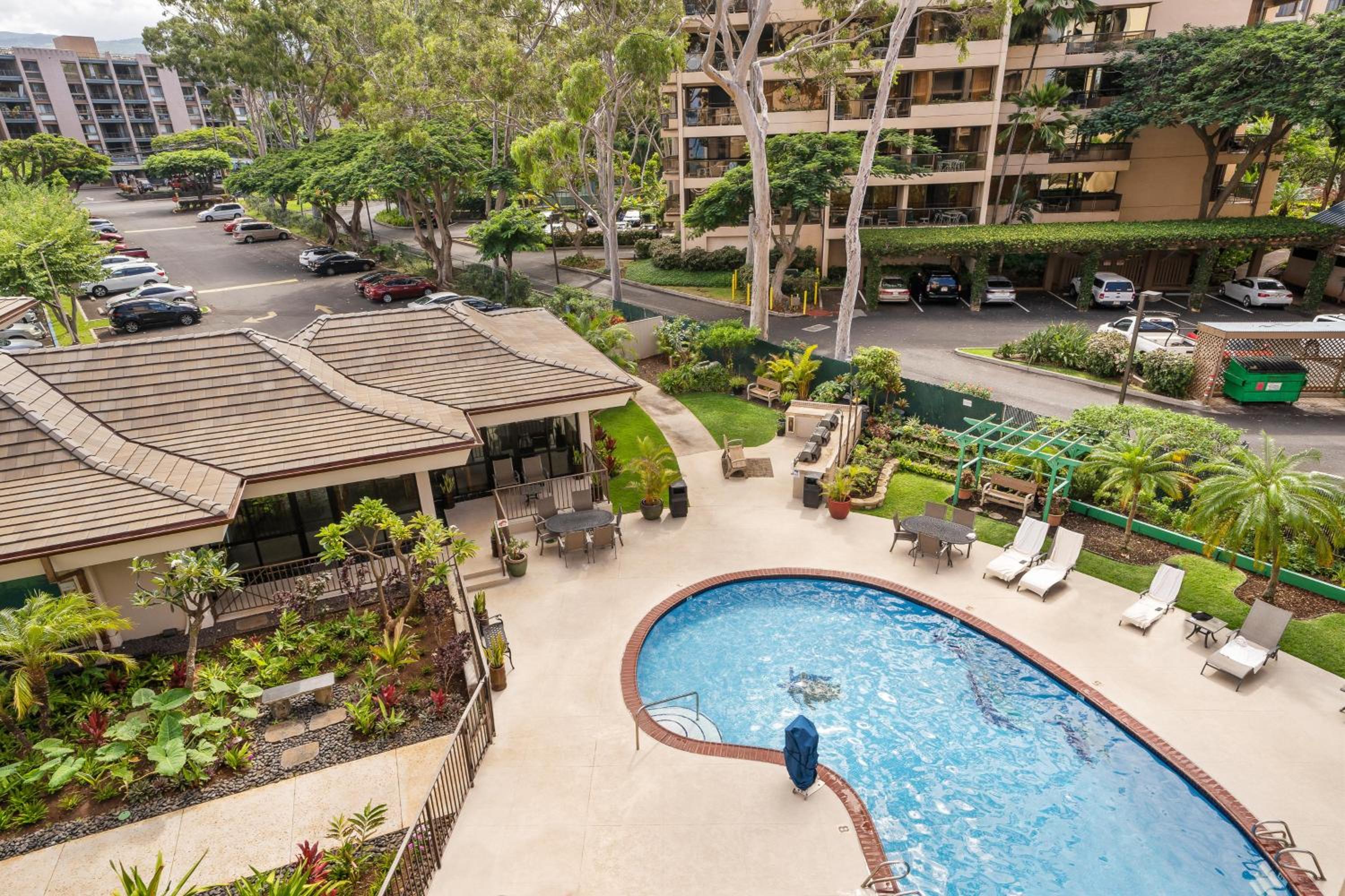 Valley Isle 206 · VI 206 OceanFront Studio w Pool