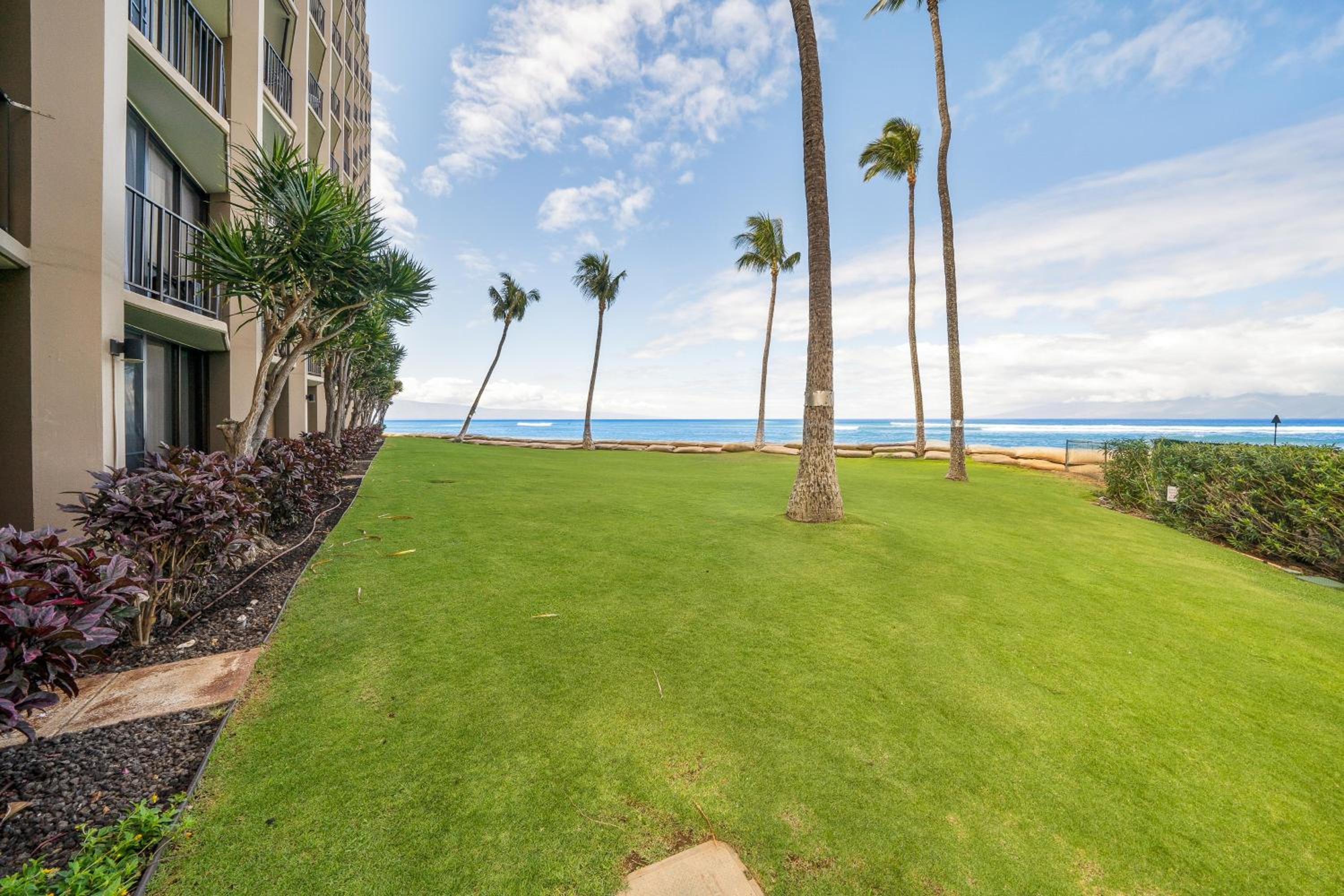 Valley Isle 206 · VI 206 OceanFront Studio w Pool