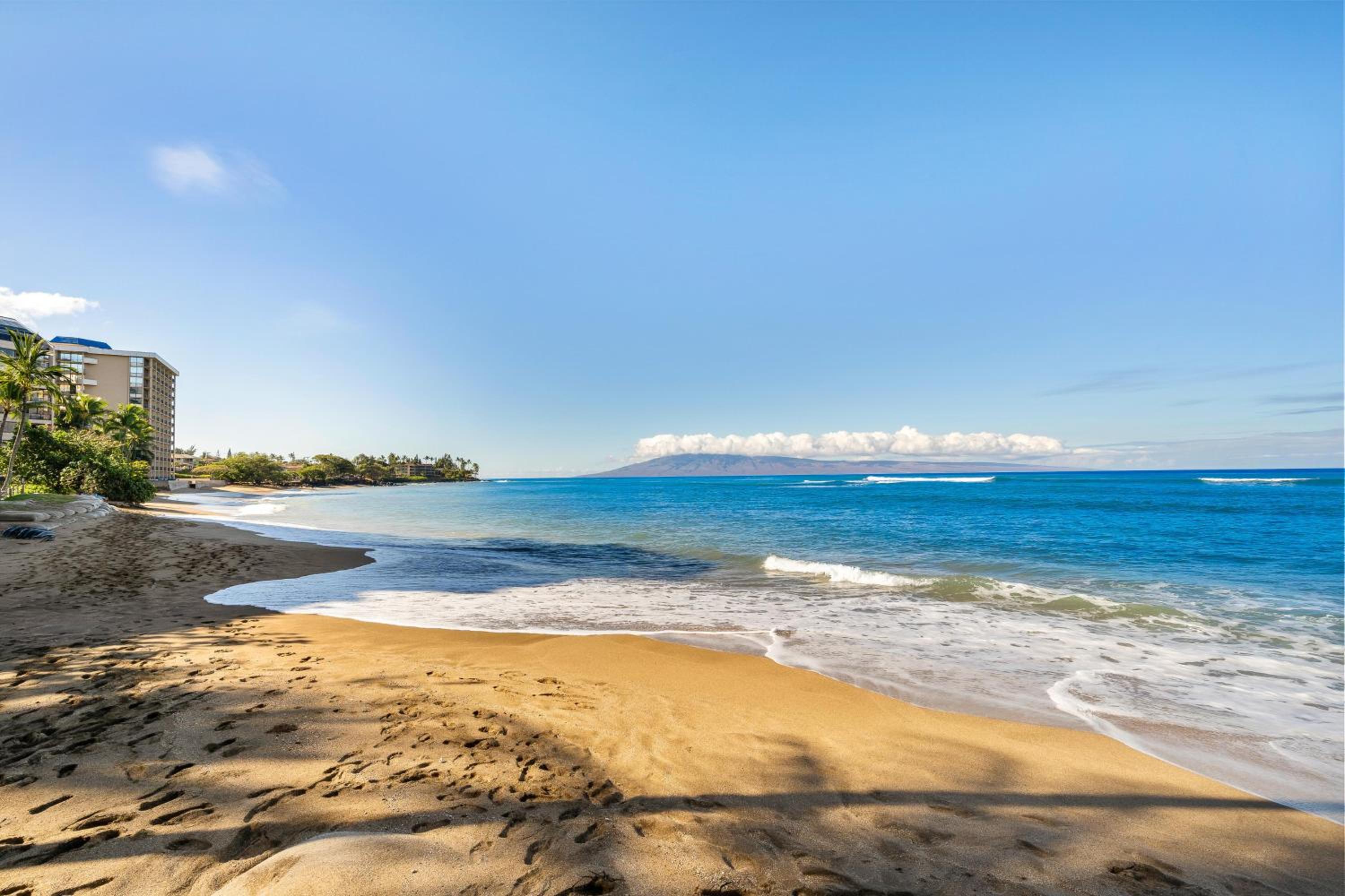Valley Isle 206 · VI 206 OceanFront Studio w Pool