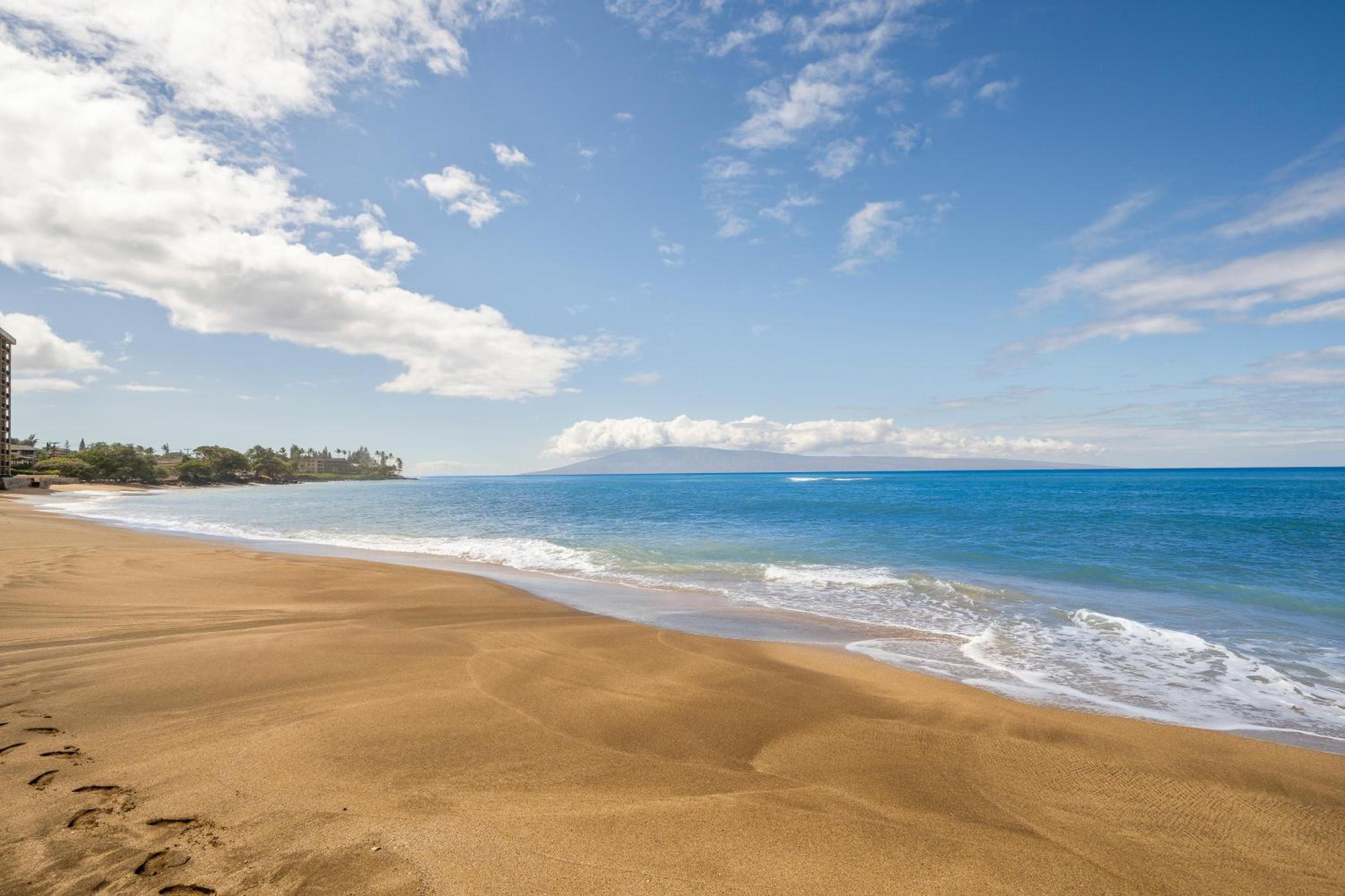 Valley Isle 206 · VI 206 OceanFront Studio w Pool