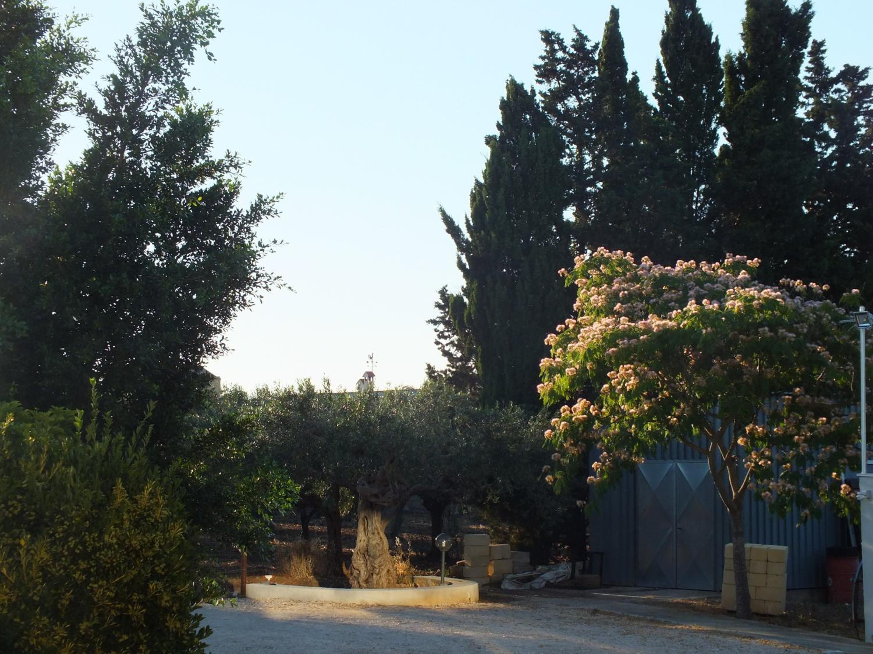 SiciliAntica