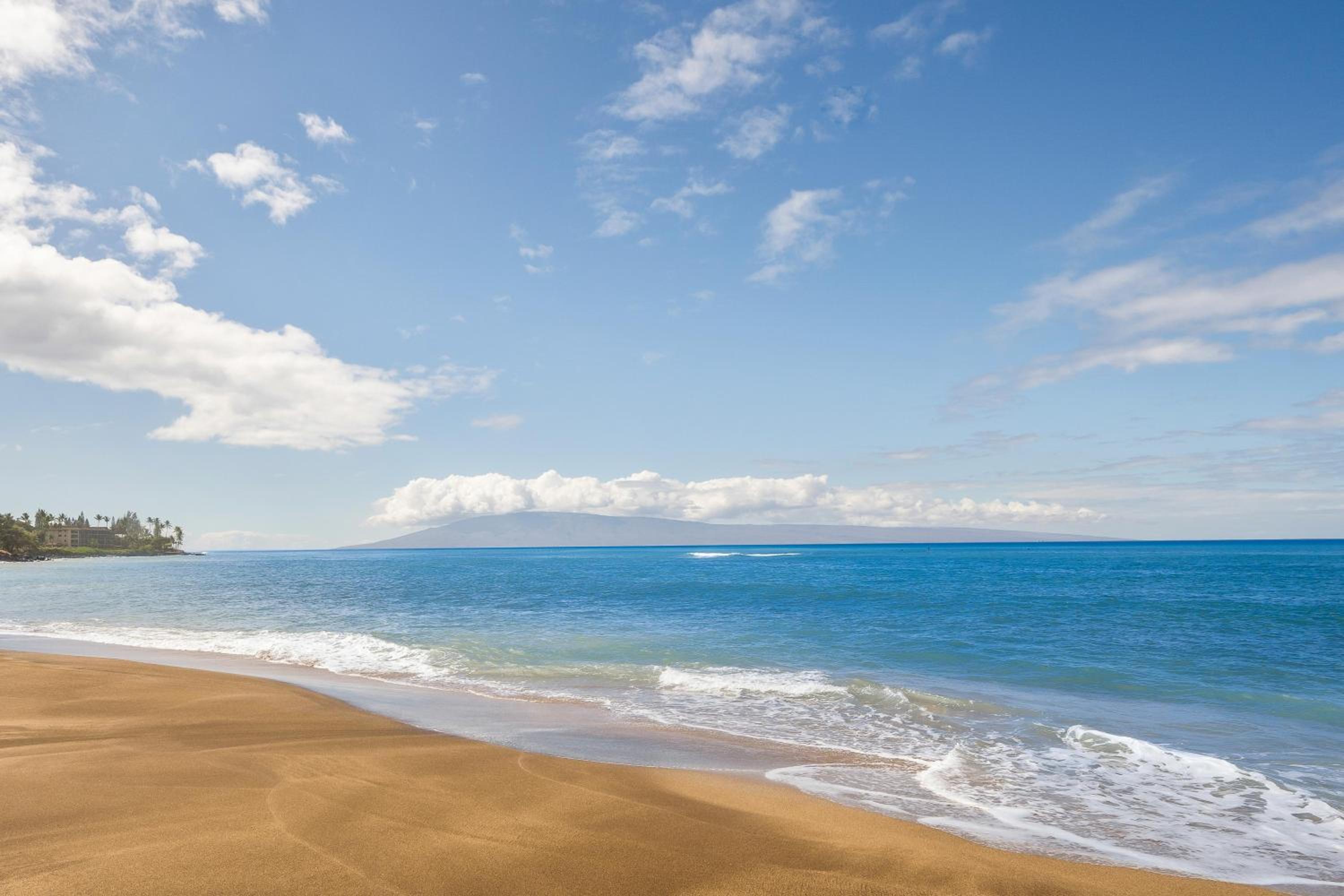 Valley Isle 204 · VI 204 Updated Coastal Chic OceanFront Ocean V