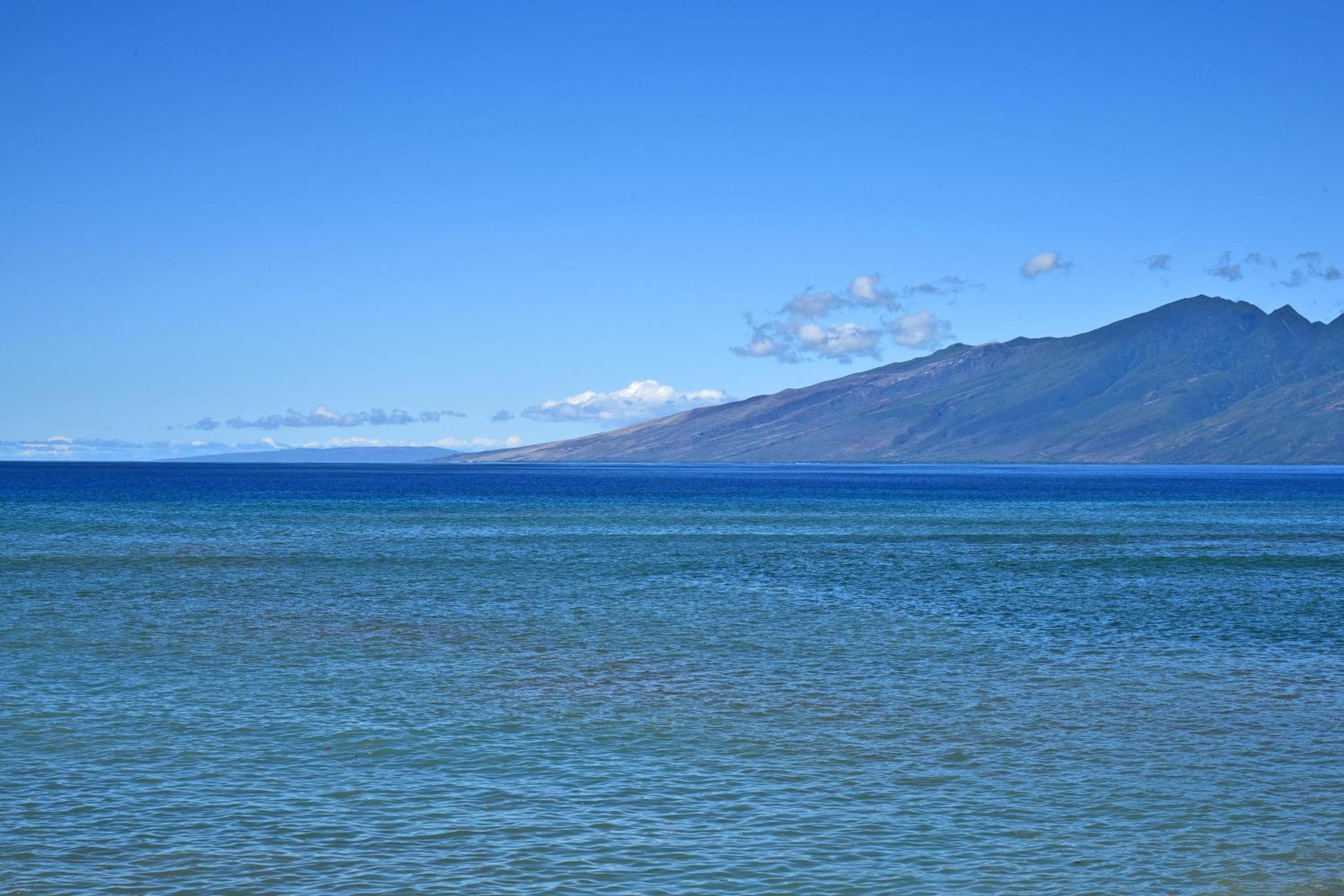 Sands of Kahana 316 · SK 316 Spacious OceanFront 2BD w Ocean Vie