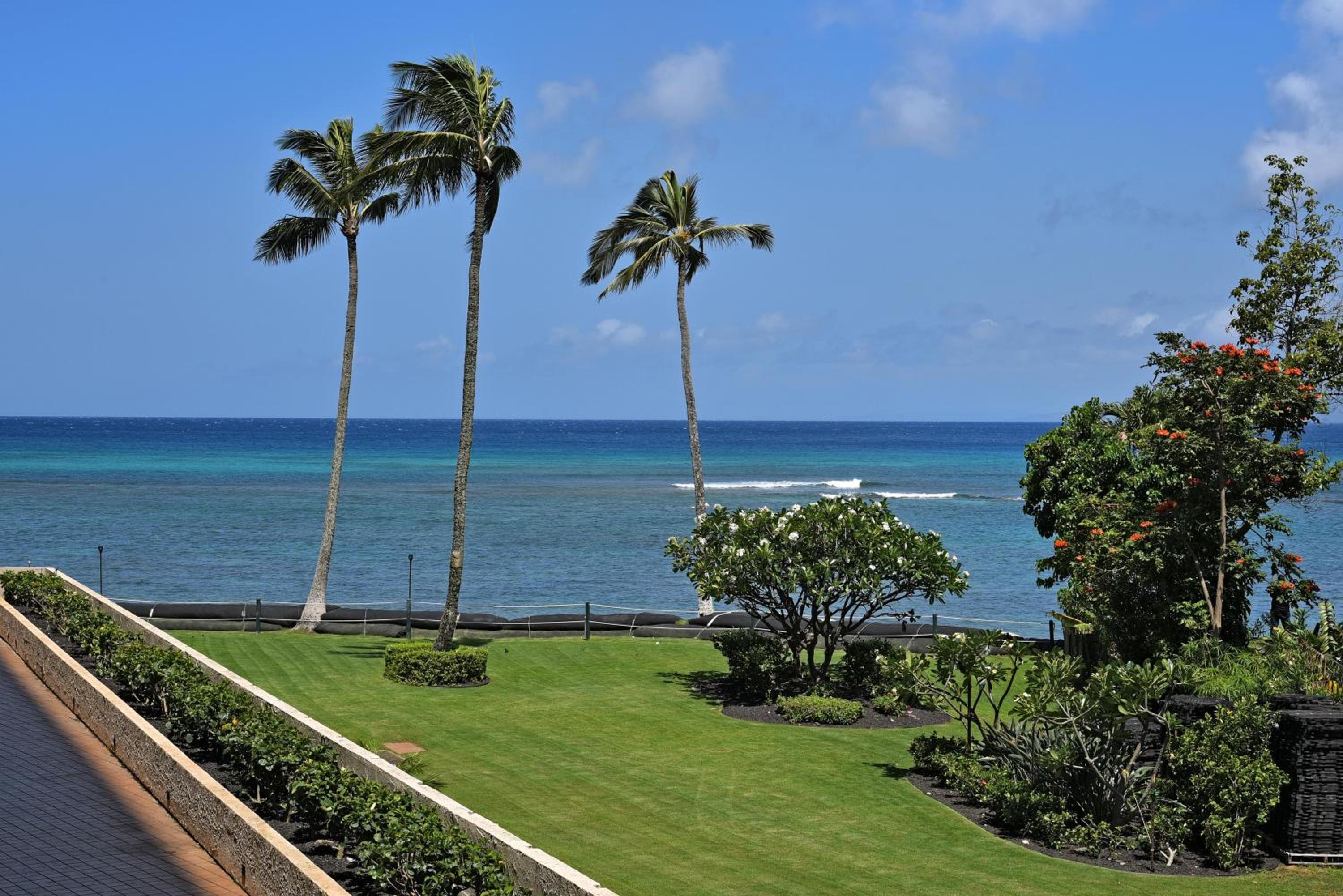 Royal Kahana 317 · RK 317 Remodeled BeachFront Studio w Ocean Vi
