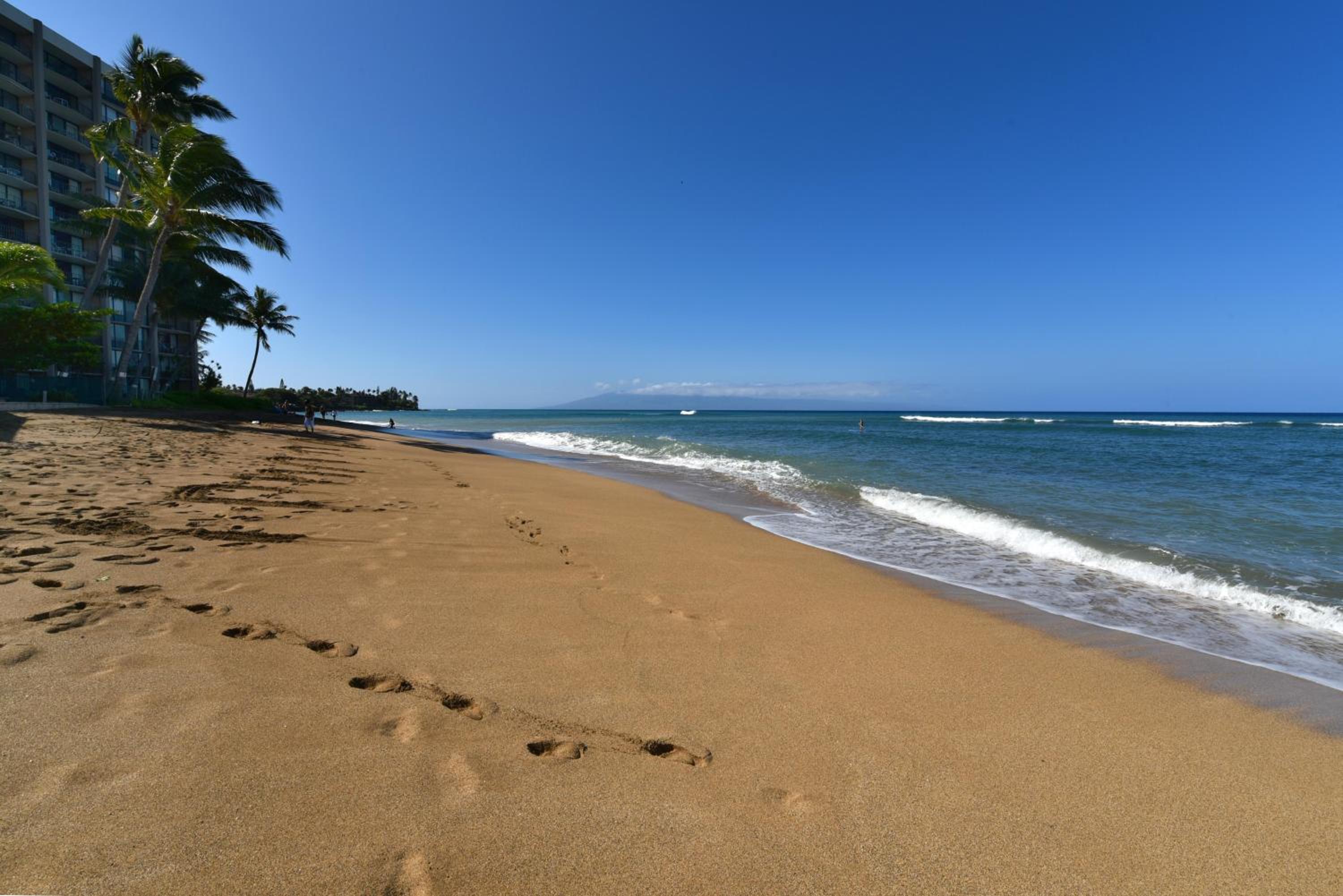 Royal Kahana 1020 · RK 1020 BeachFront 2BD Condo w Ocean Views A