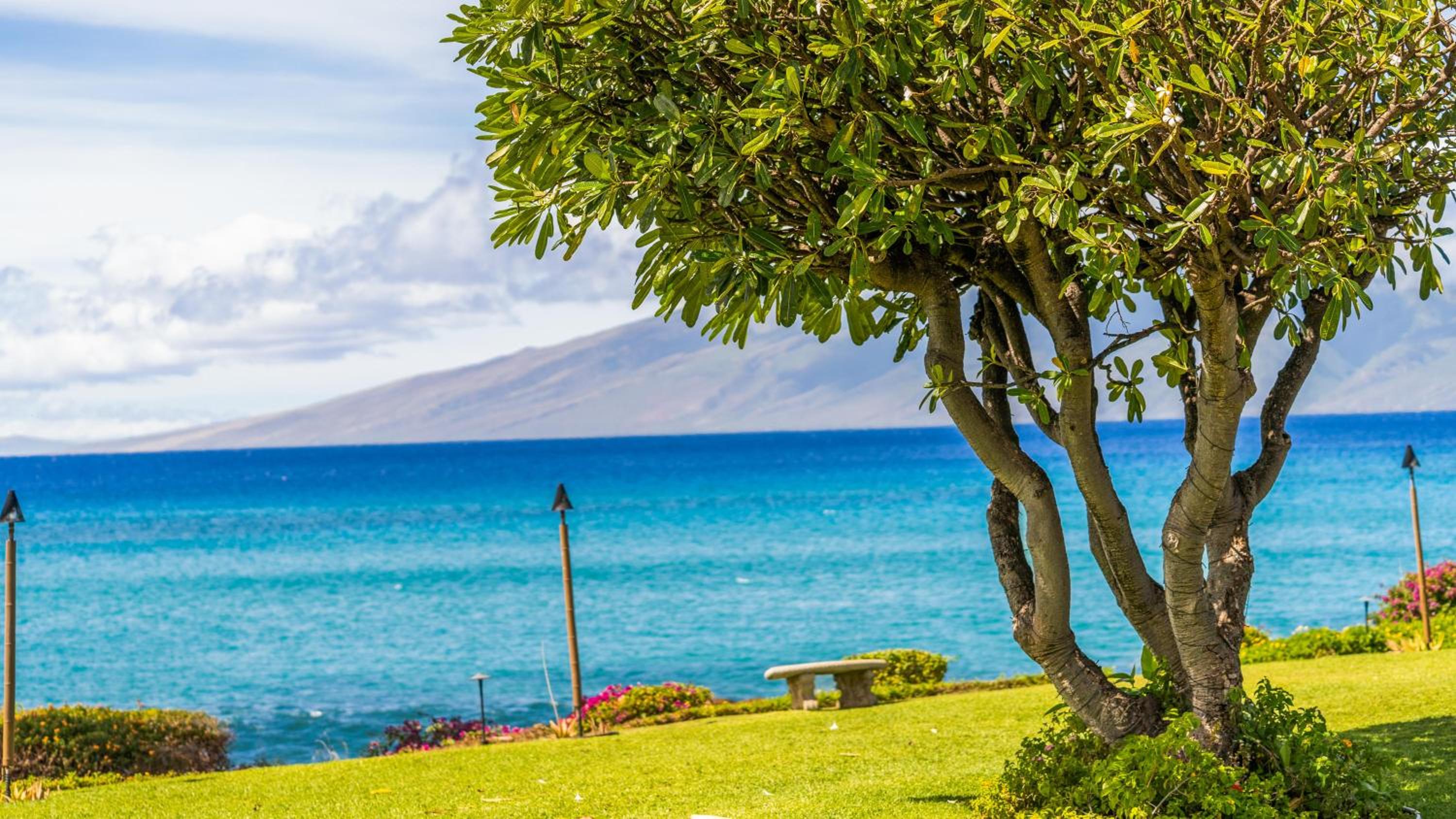 Polynesian Shores 111 · PS 111 Updated Condo w Ocean Views Pool