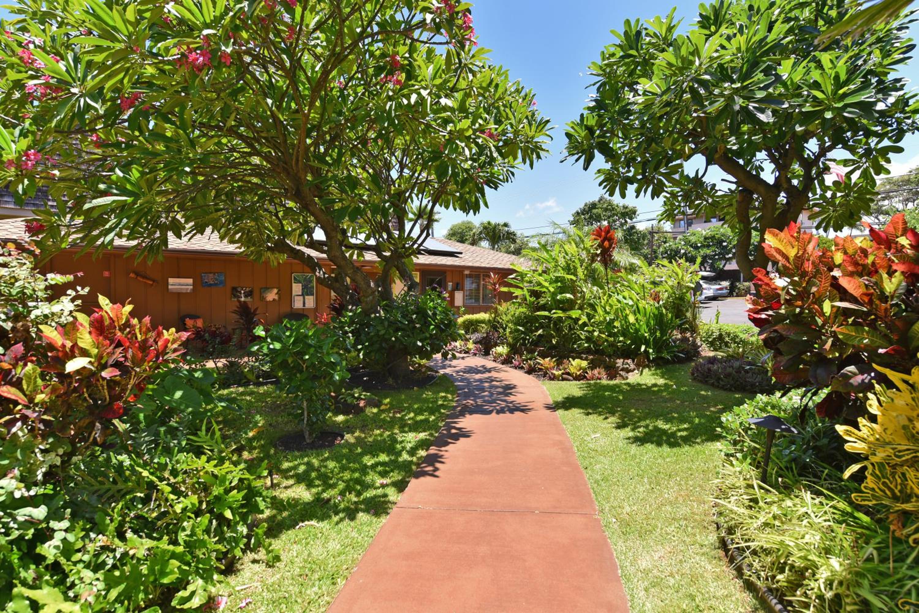 Polynesian Shores 111 · PS 111 Updated Condo w Ocean Views Pool