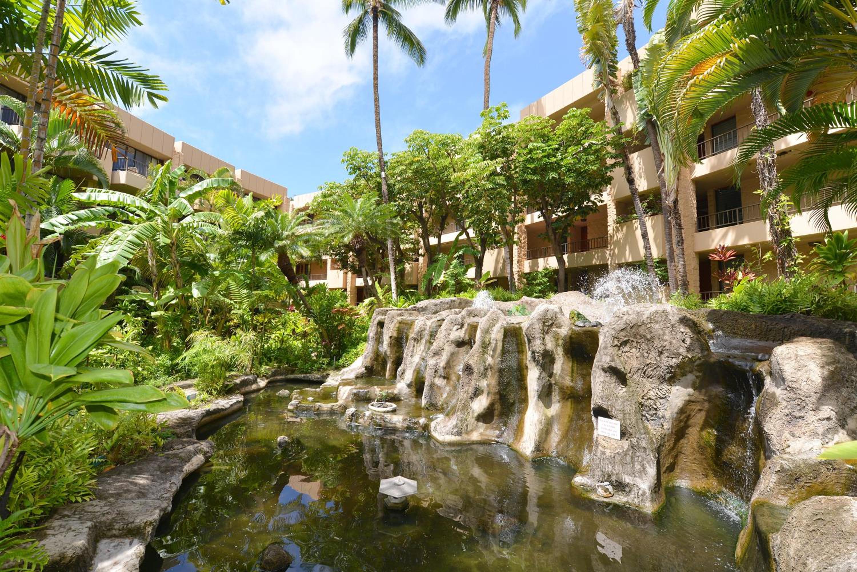 Paki Maui 424 · PM424 BeachFront 2BD w Ocean View