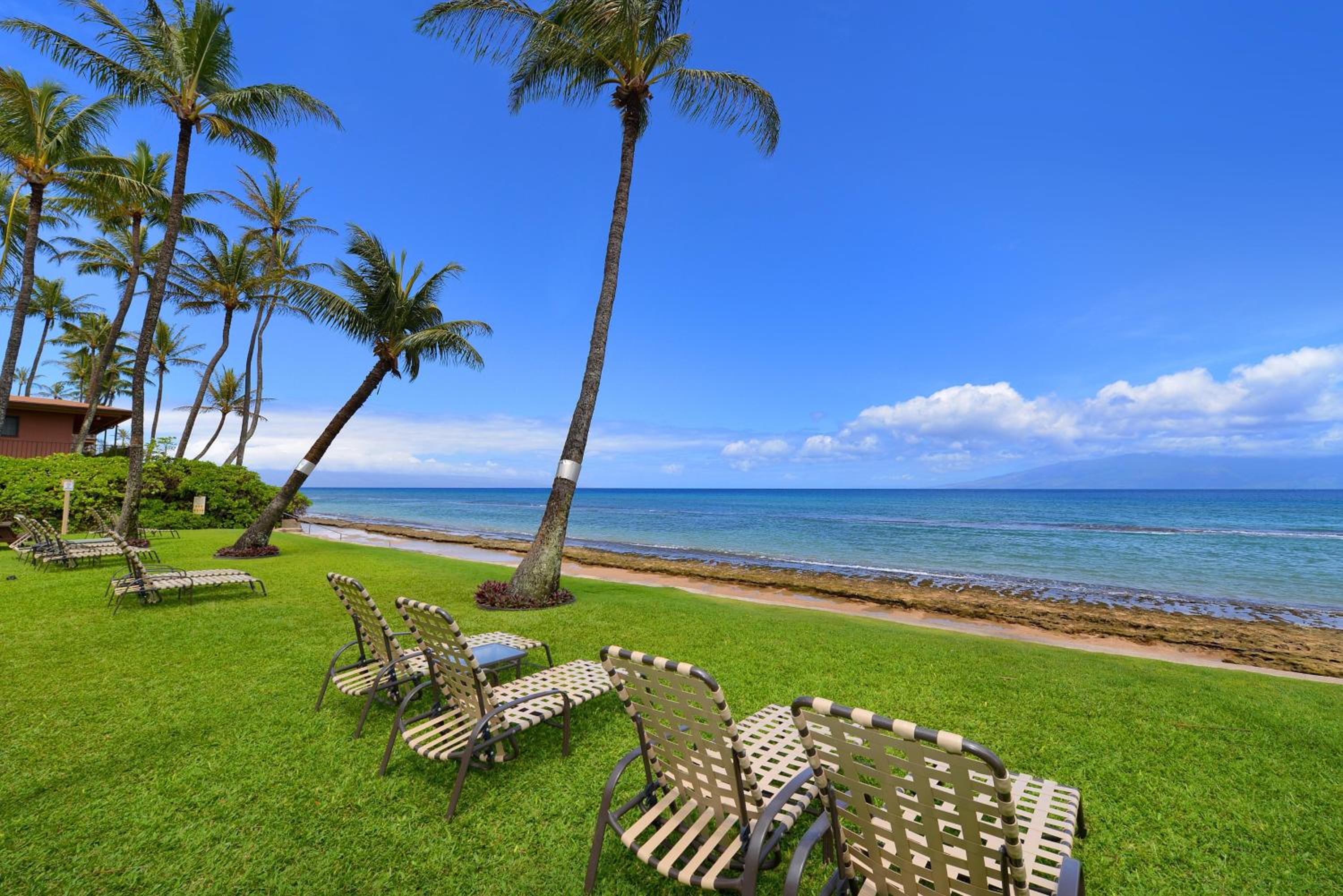 Paki Maui 424 · PM424 BeachFront 2BD w Ocean View