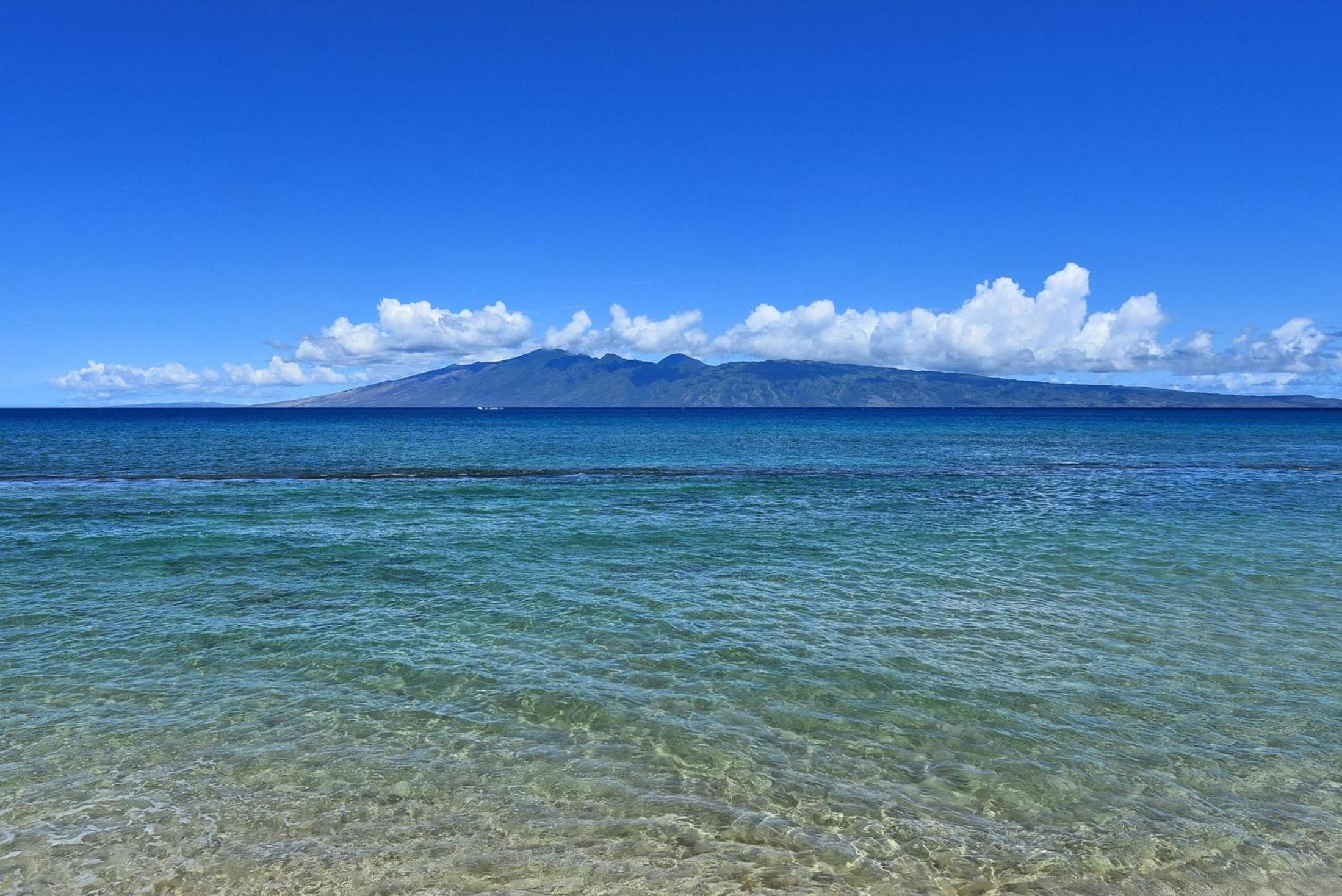 Papakea L303 · PK L303 Kaanapali BeachFront 2BD w Ocean View Poo
