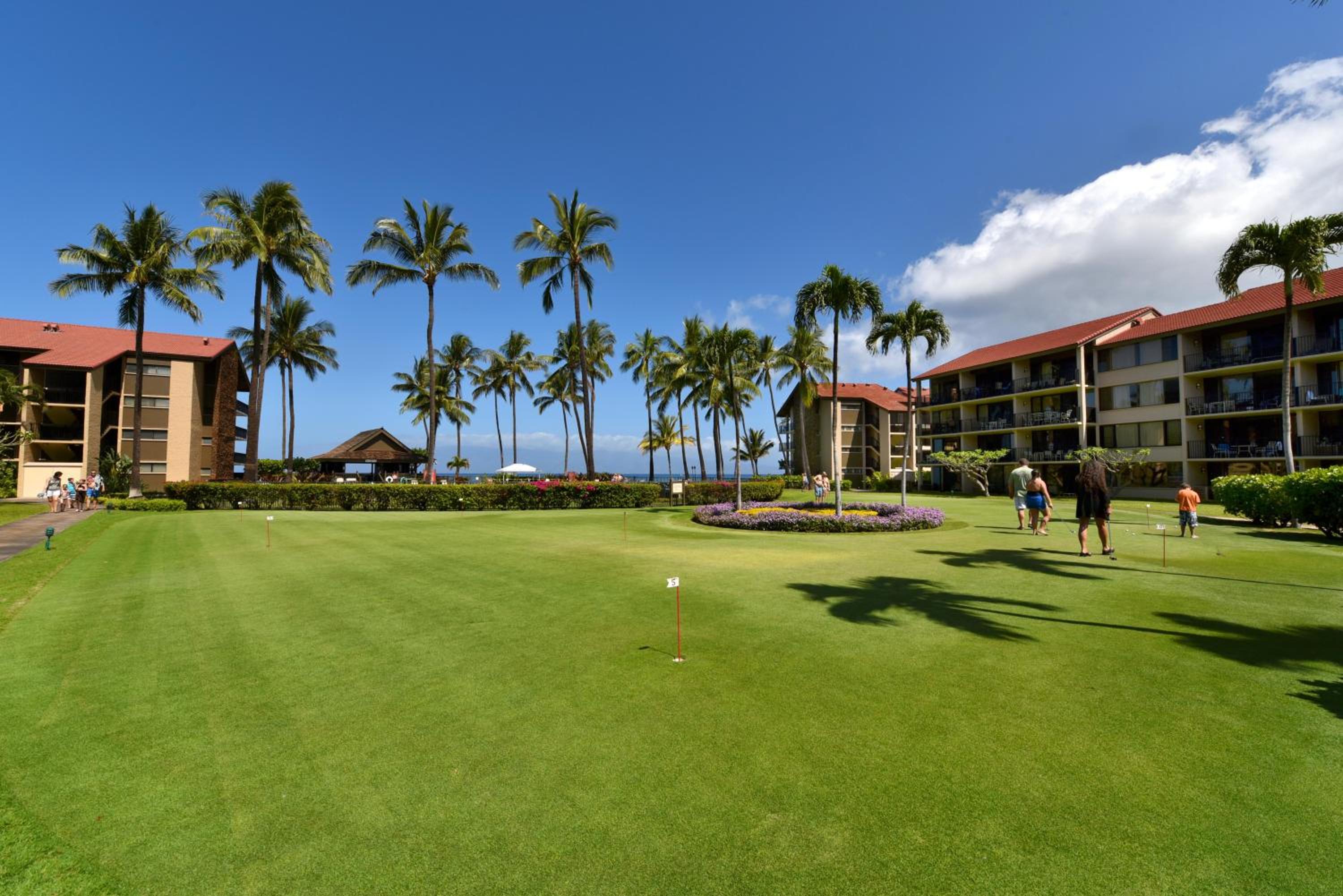 Papakea F208 · PK F208 Kaanapali BeachFront Condo w Ocean Views