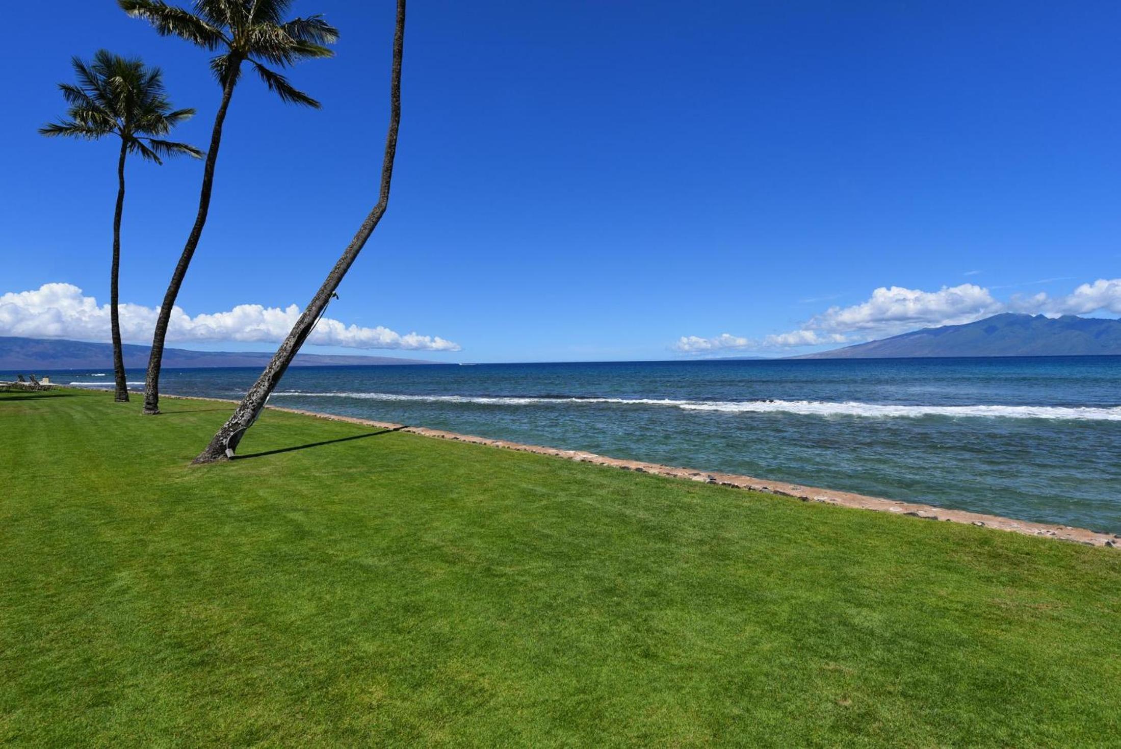 Papakea D108 · PK D108 Spacious Condo at BeachFront Resort