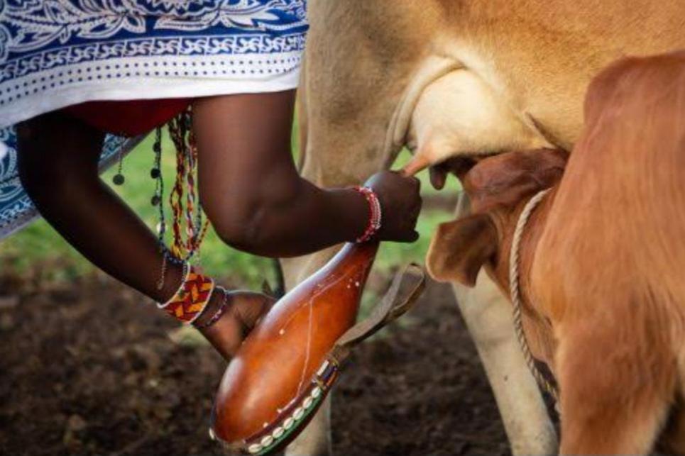 Mombo Maasai Culture Homestay