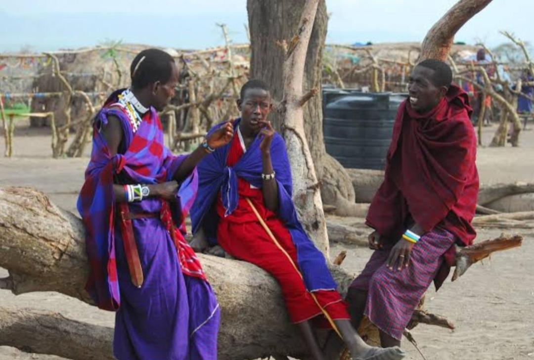 Mombo Maasai Culture Homestay