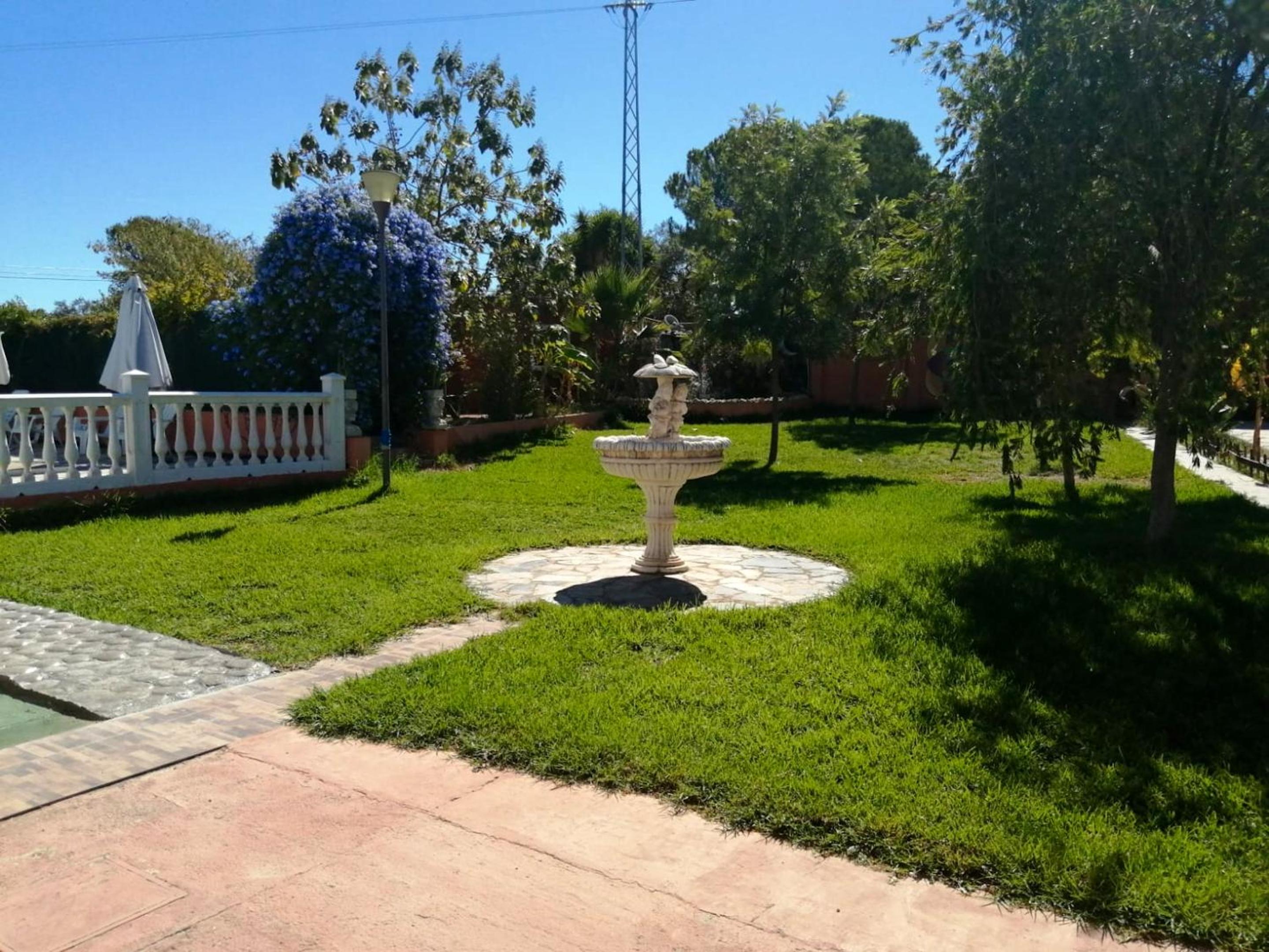 Photo 35
