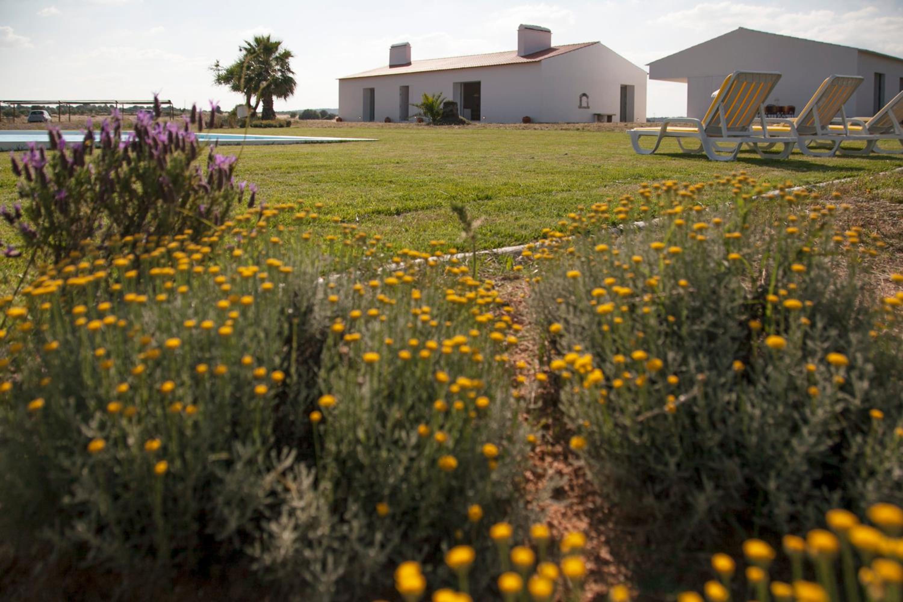 Chic Villa with Private Pool near Évora