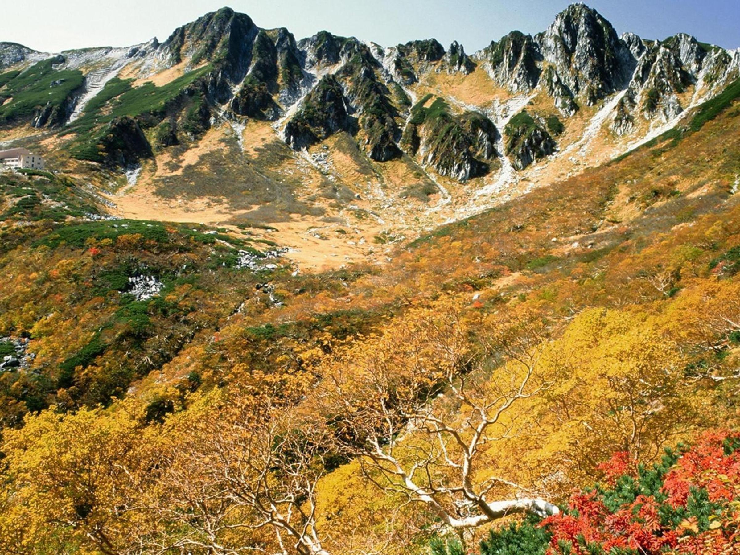 Yoshinotei