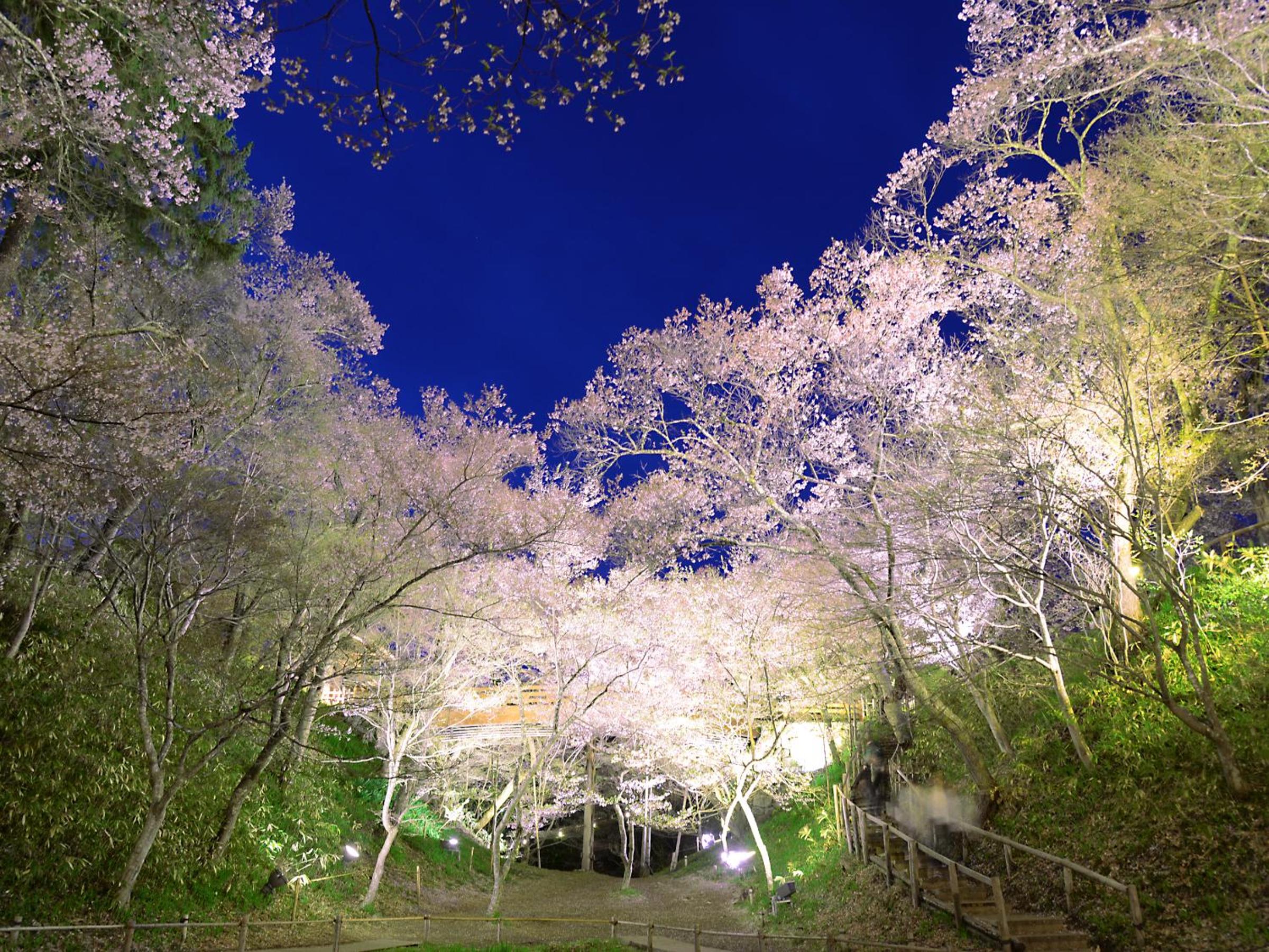 Yoshinotei
