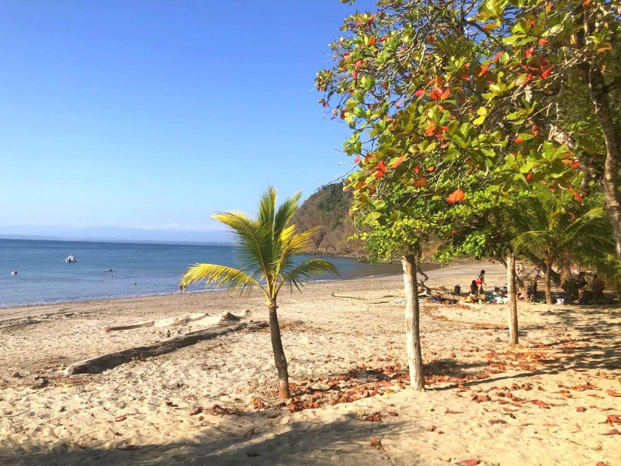 Holiday Beach House In Punta Leona - wprivate Pool