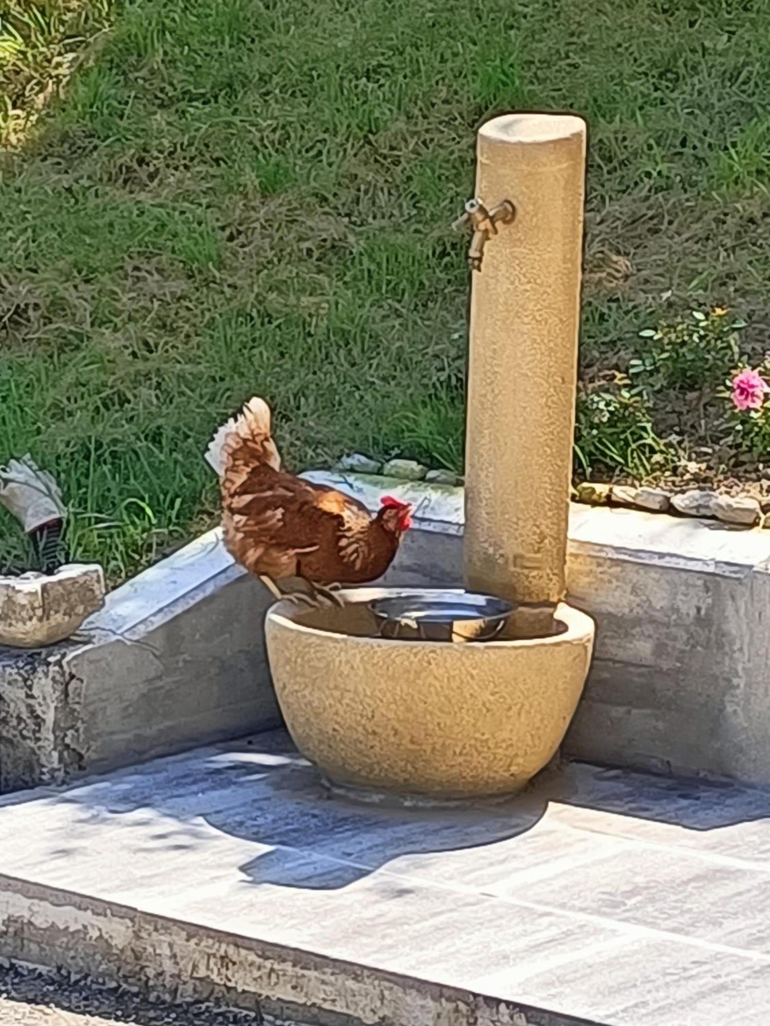 other